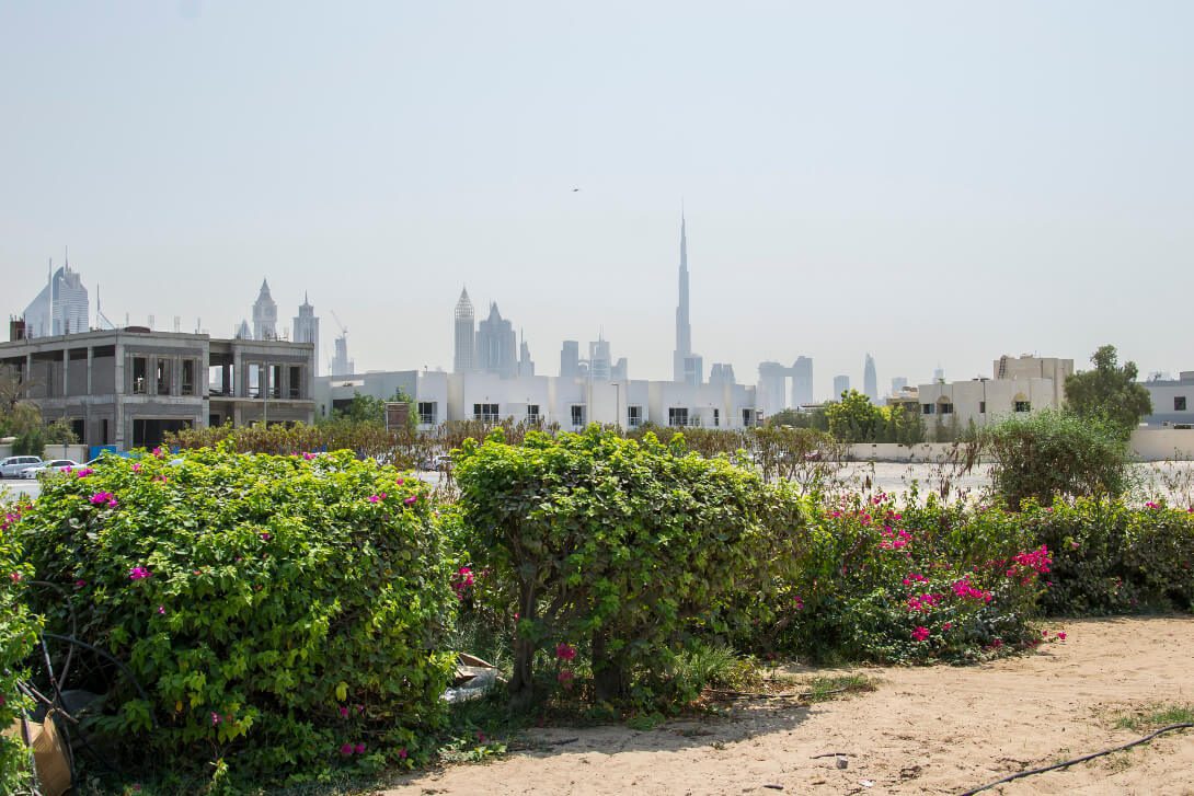 Widok na Downtown Dubai z Jumeirah
