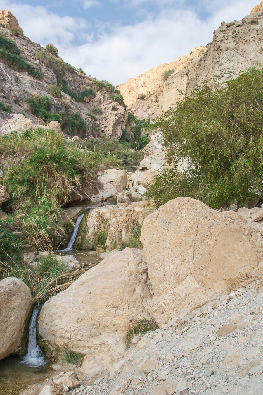 Oaza Ein Gedi w Izraelu.