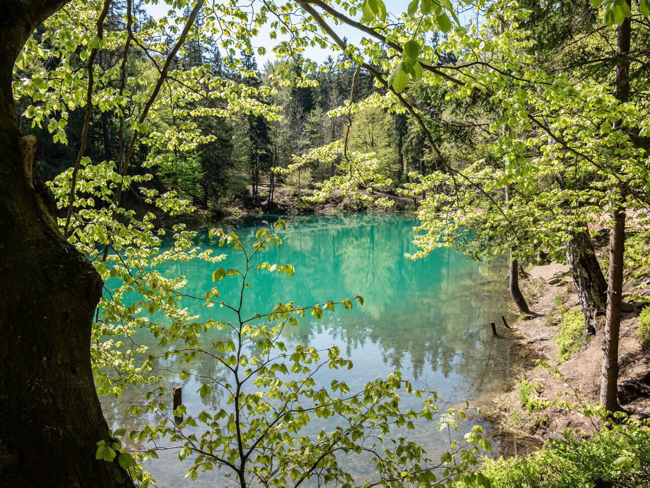drzewa szlak niebieskie błękitne jeziorko rudawy janowickie