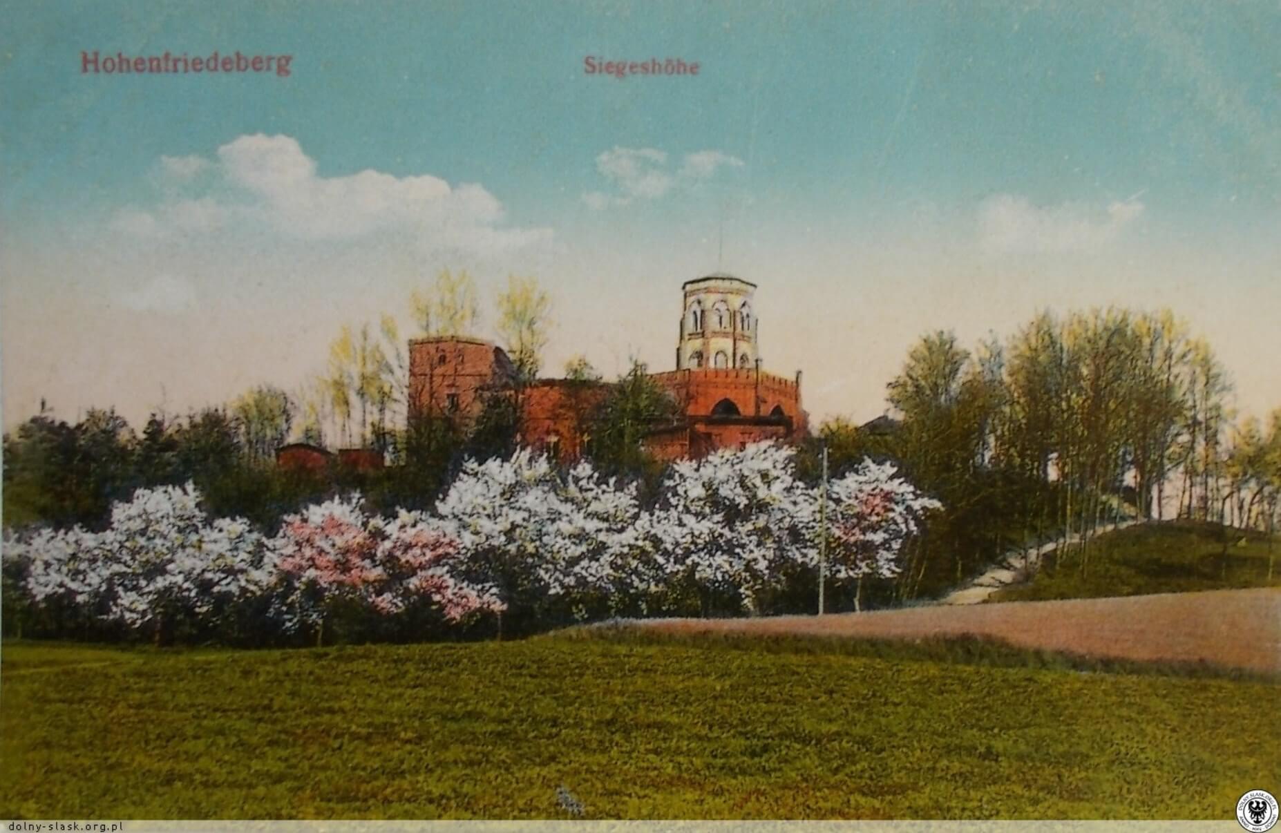 Wieża widokowa na Wieżycy zdjecie archiwalne ciekawy ładny punkt widokowy Dolny Śląsk gdzie pojechać na krótką wycieczkę z Wrocławia