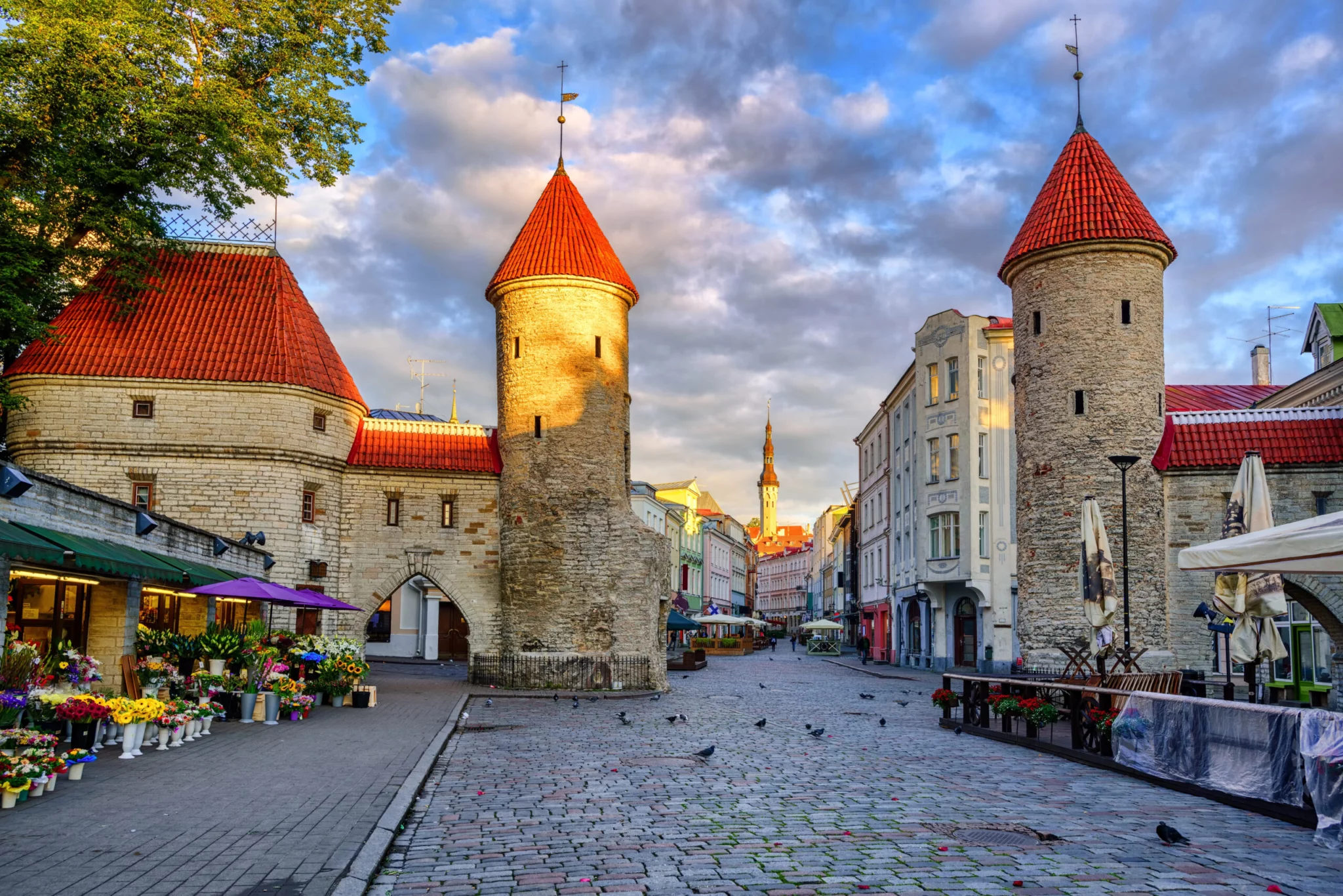 Tallin Estonia