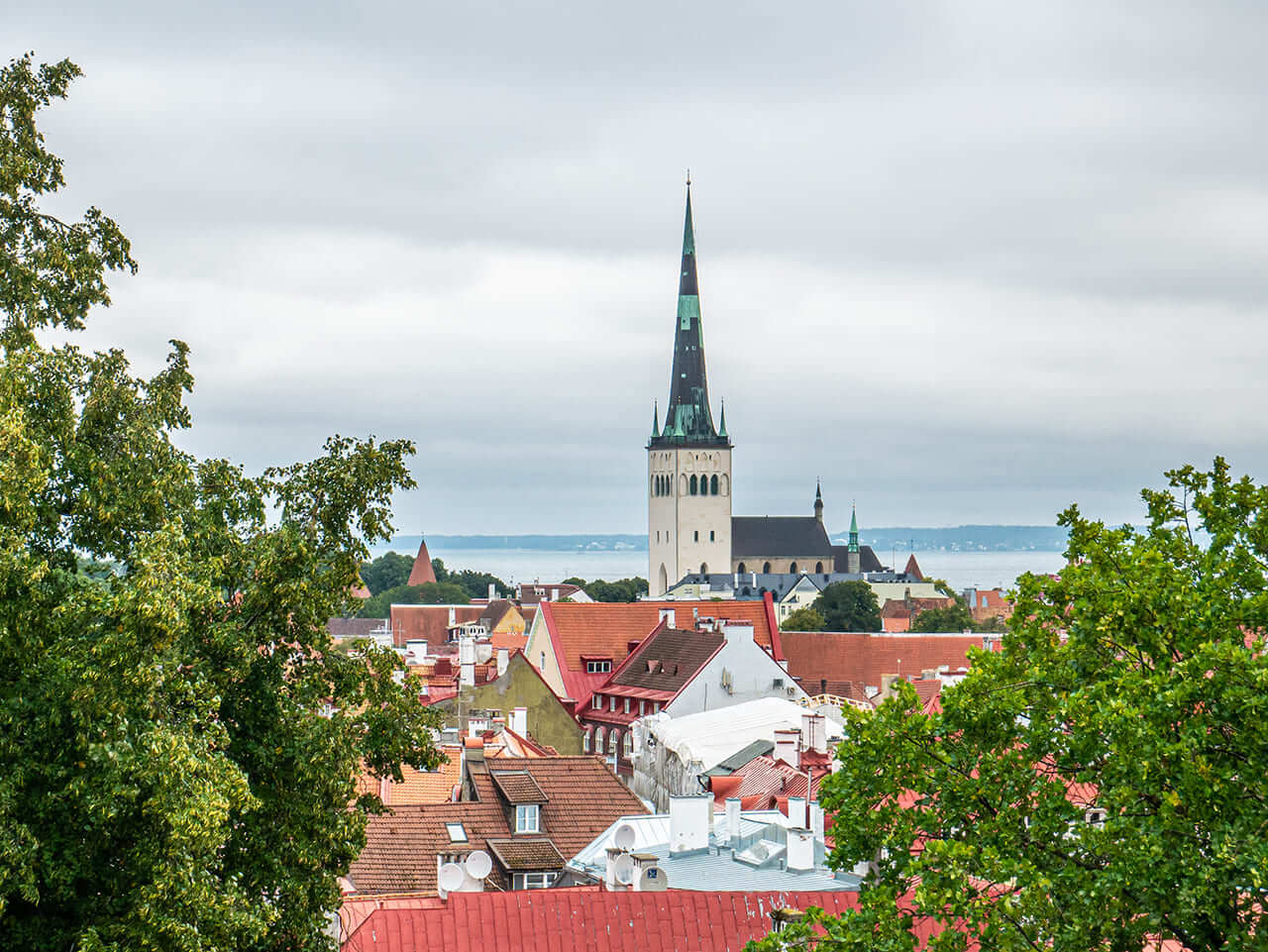 Tallin widok na wieżę Kościoła św. Olafa i morze