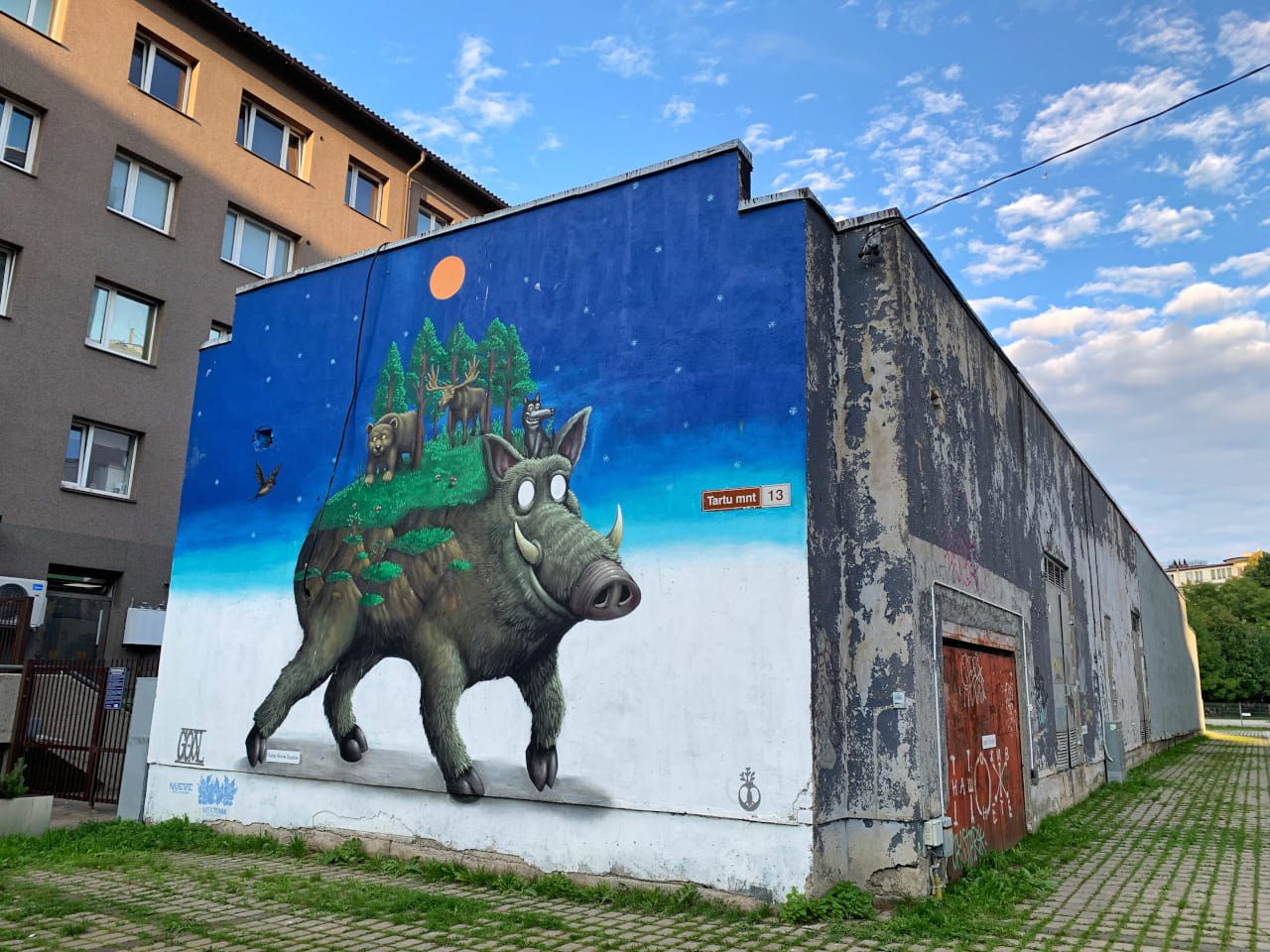 Tallin mural dzik