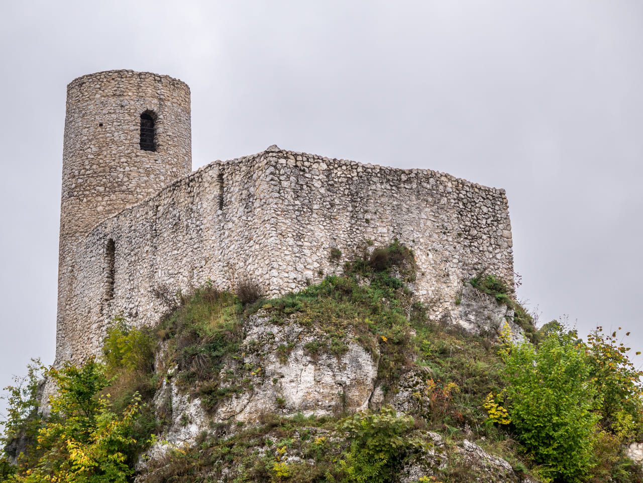 widok na zamek na wzgórzu