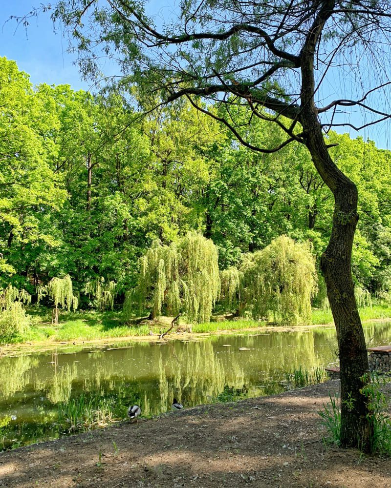 Toruń park miejski rzeka
