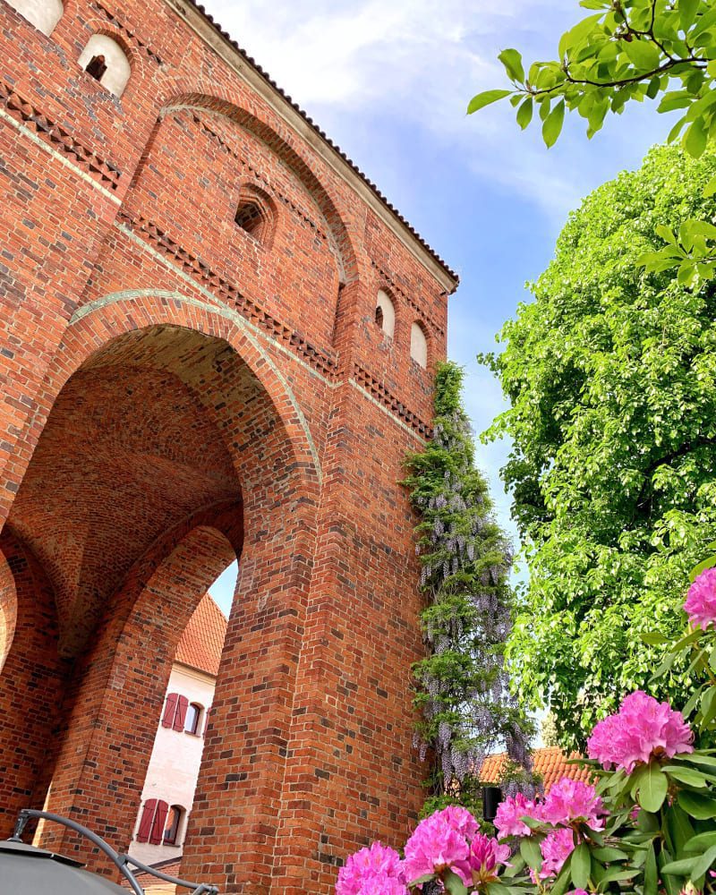 Toruń zamek krzyżacki brama mur