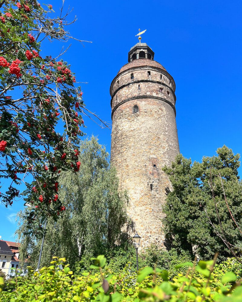 Goerlitz wieża mikołaja