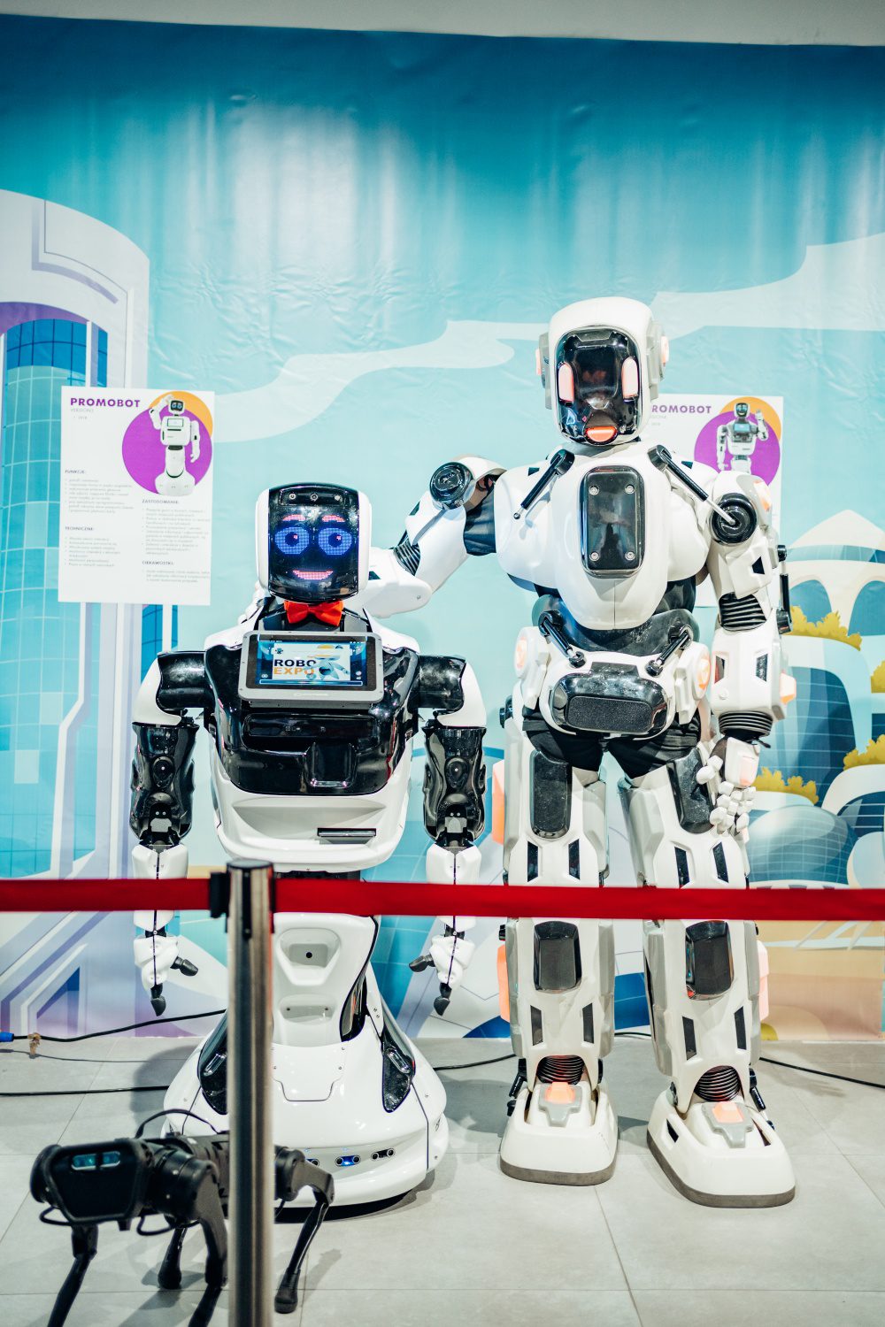 Wrocław roboty wystawa robotów Rynek
