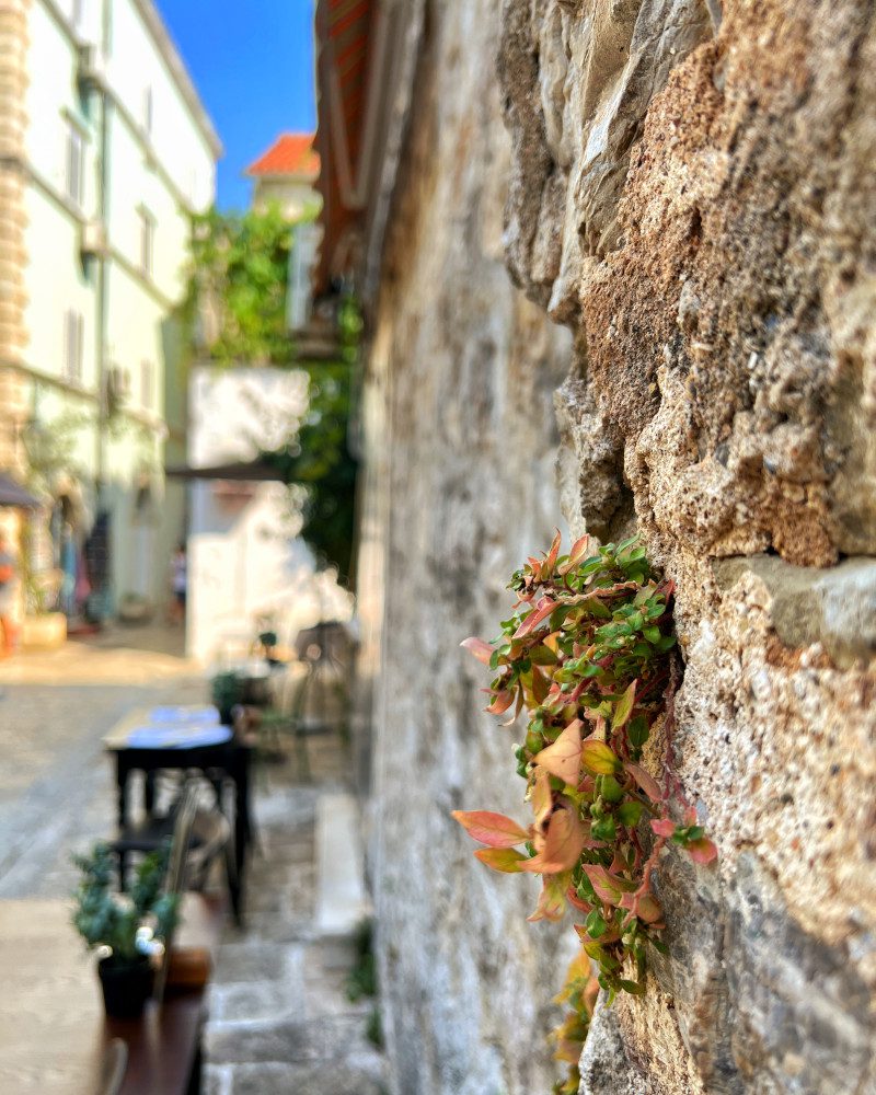 Czarnogóra Budva mur lampa uliczka