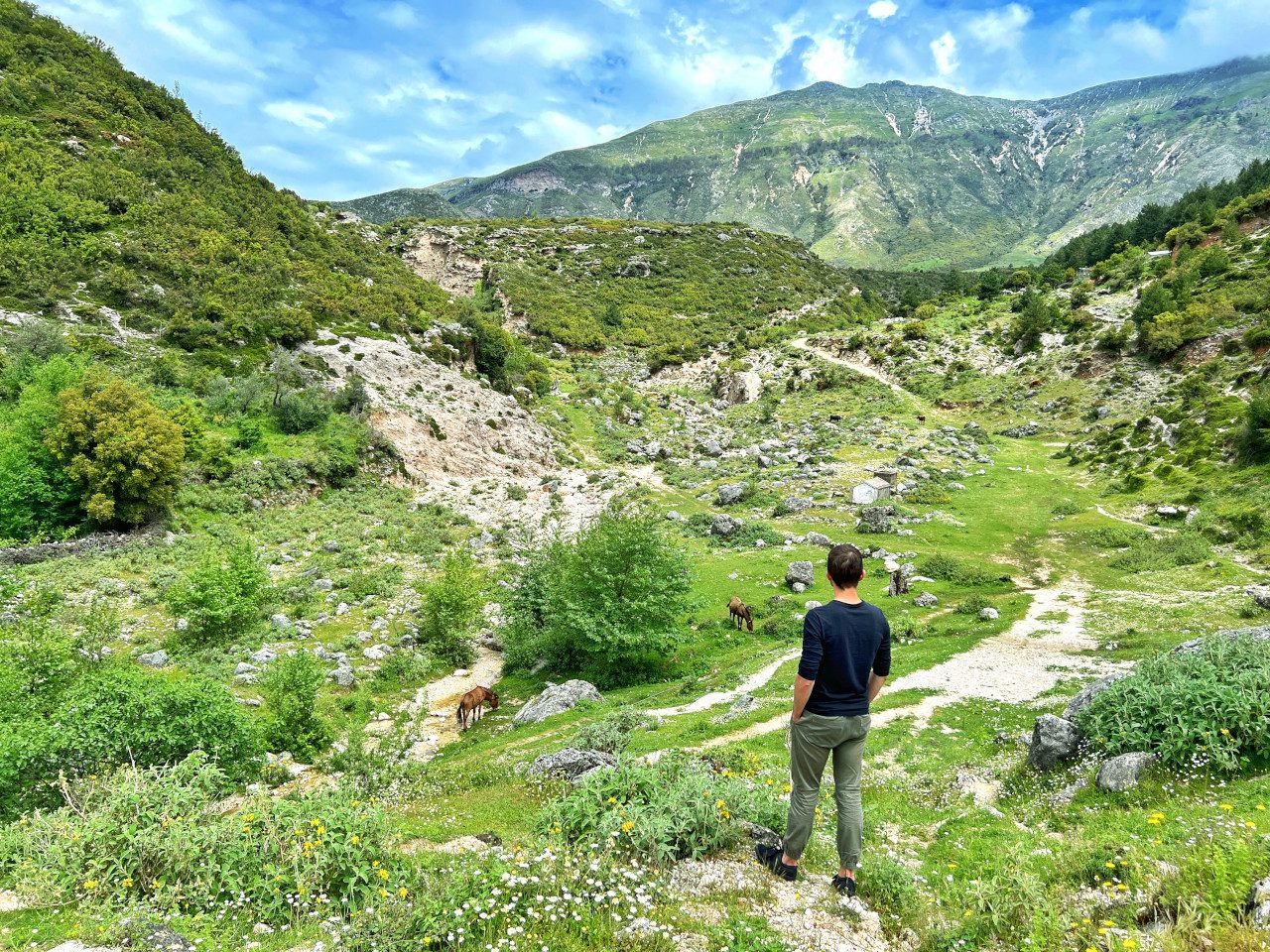 Albania panorama gór