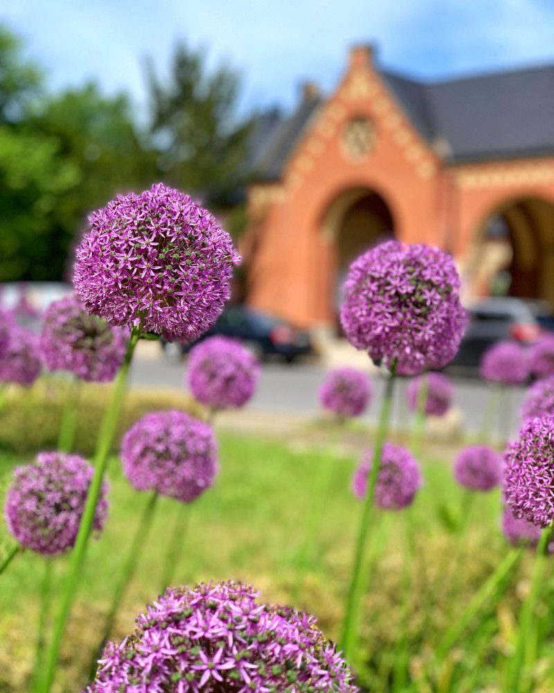 Szczecin cmentarz wejście kwiaty