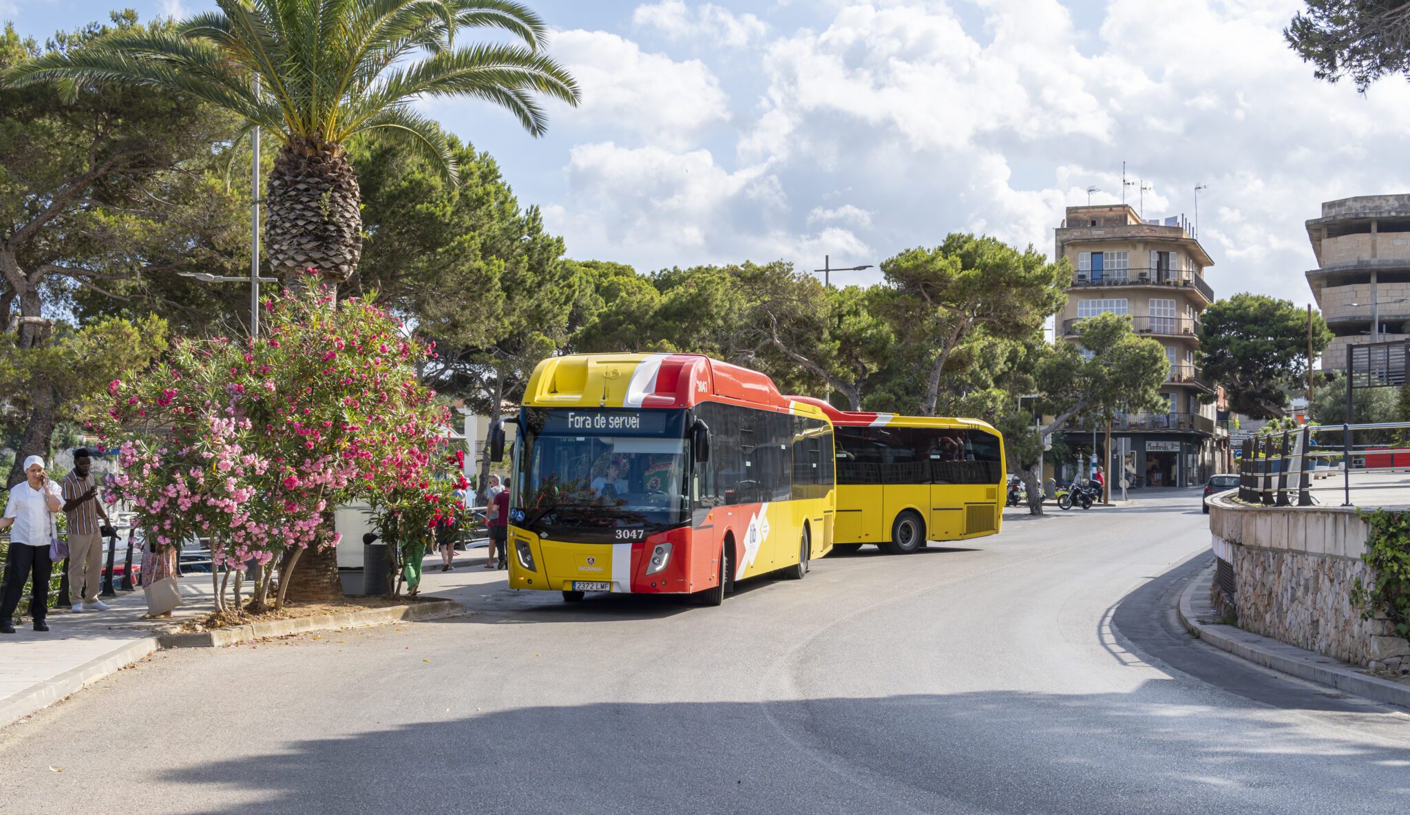 Autobus TIB Majorka na własną rękę komunikacja na Majorce
