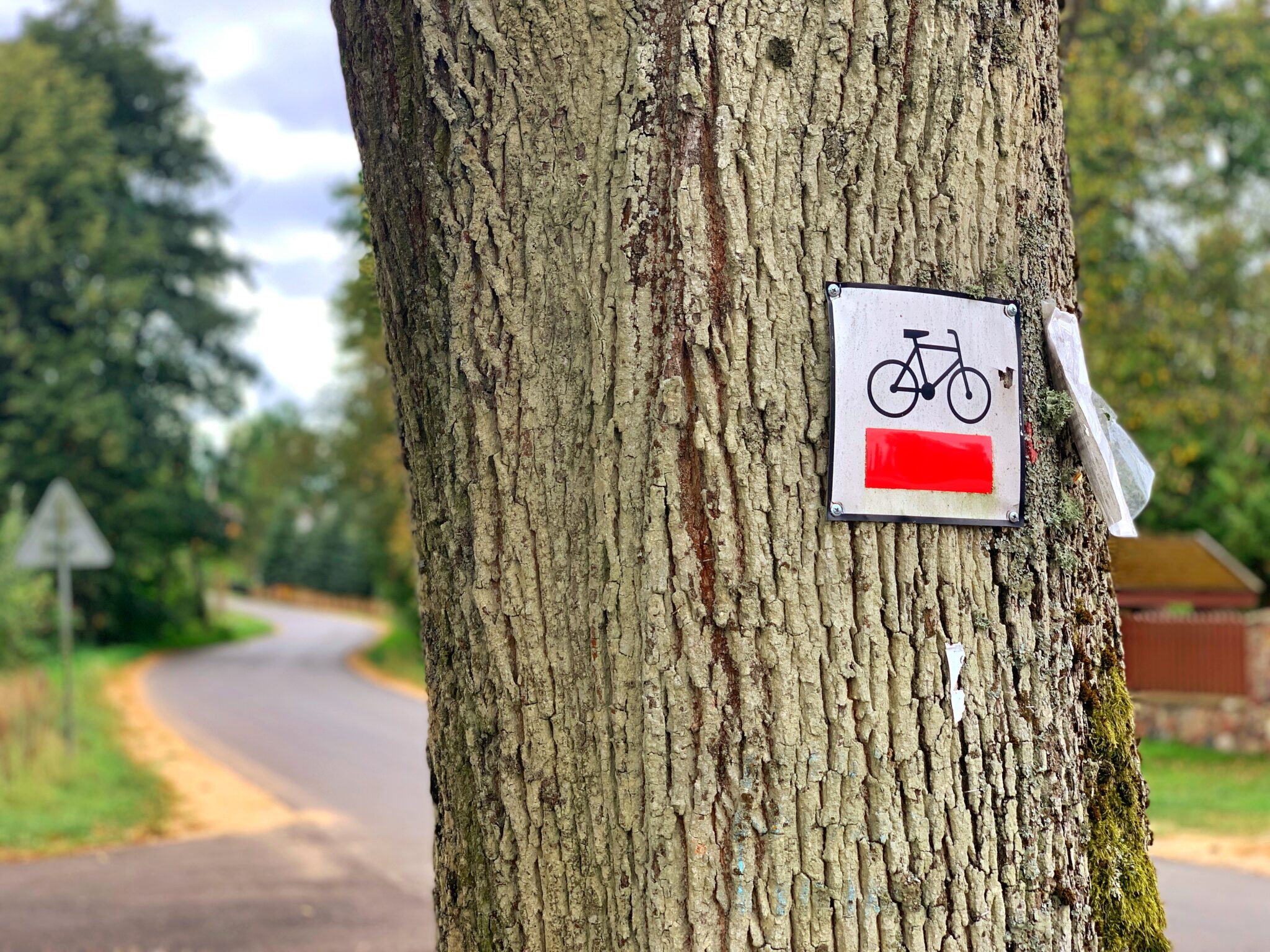 oznaczenie trasa rowerowa