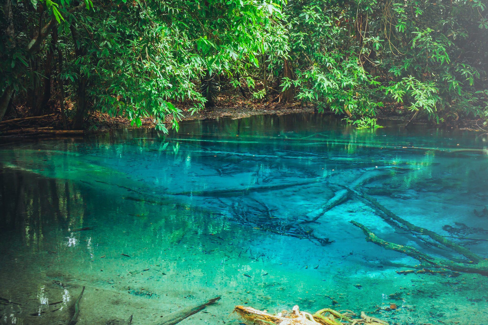 Tajlandia Krabi Emerald Pool