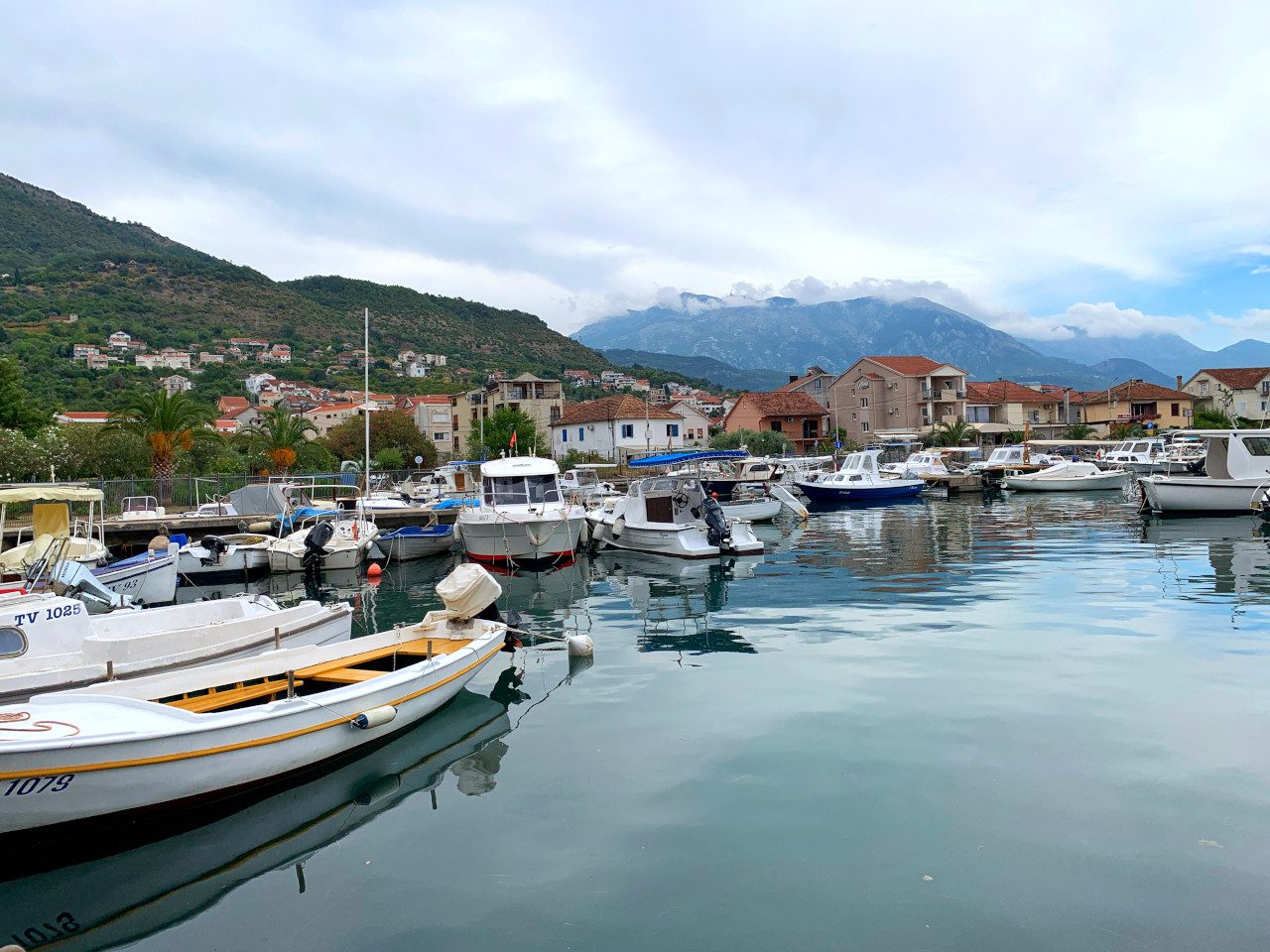 Czarnogóra Tivat port