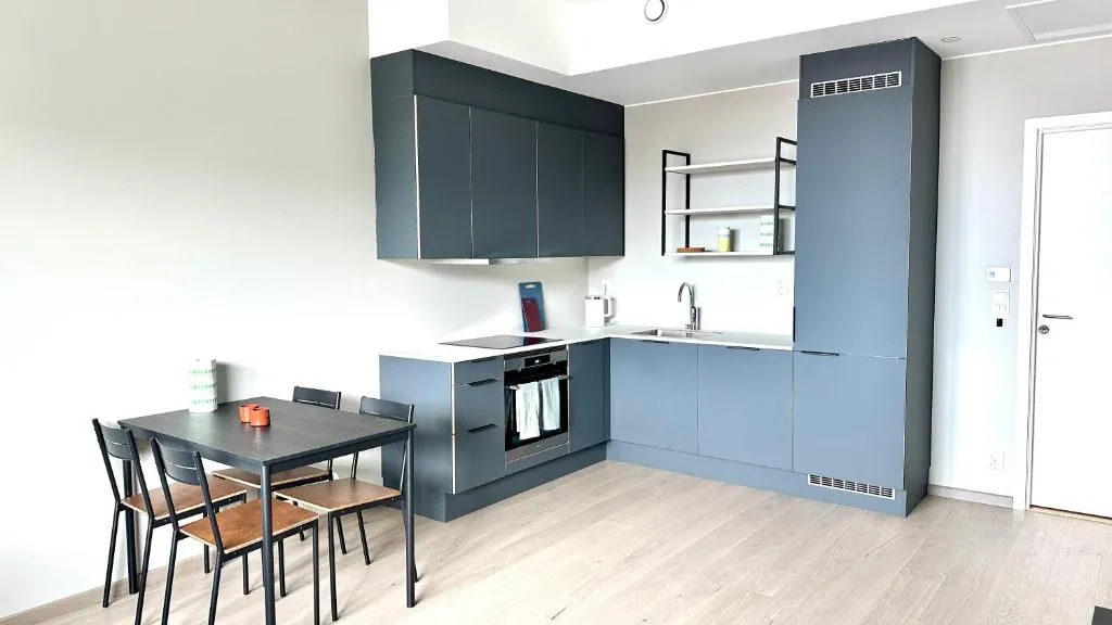 Brand new and modern apartment in Oslo center