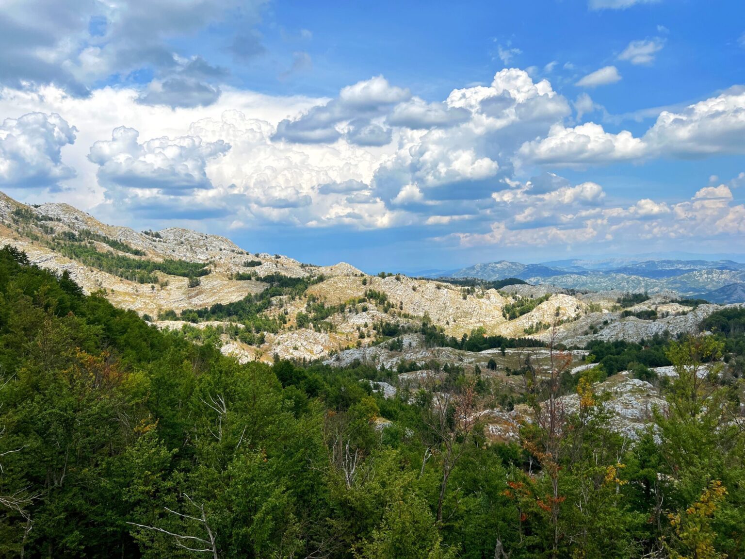 Park Narodowy Lovcen Czarnogóra atrakcje co warto zobaczyć blog podróżniczy