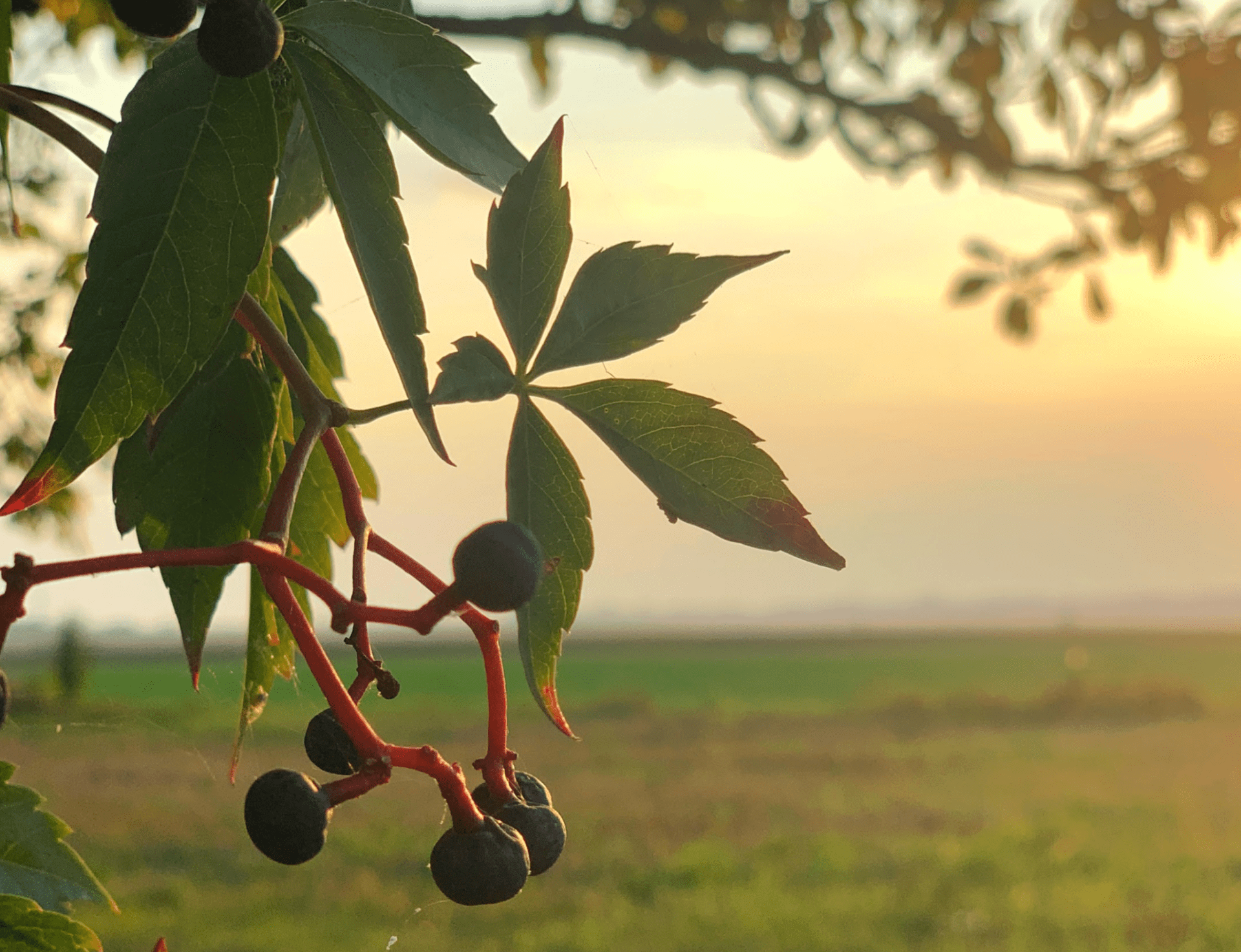 Hajnówka atrakcje co warto zobaczyć w mieście blog podróżniczy