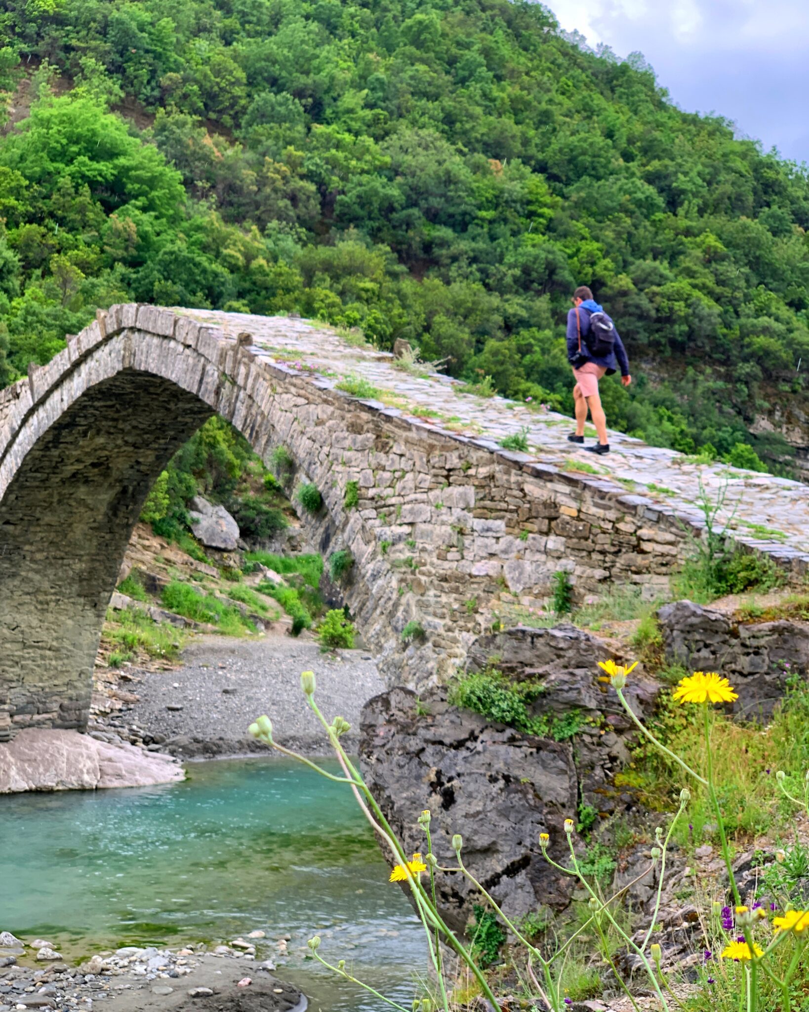Albania kanion Langarica most Kadiut chłopak kwiaty