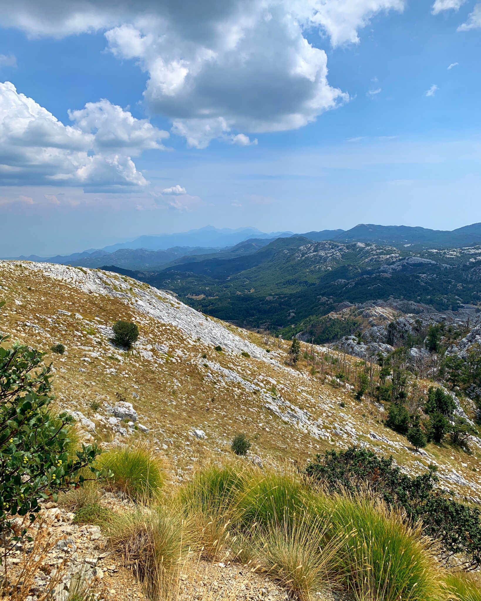 Czarnogóra Herceg Novi góry