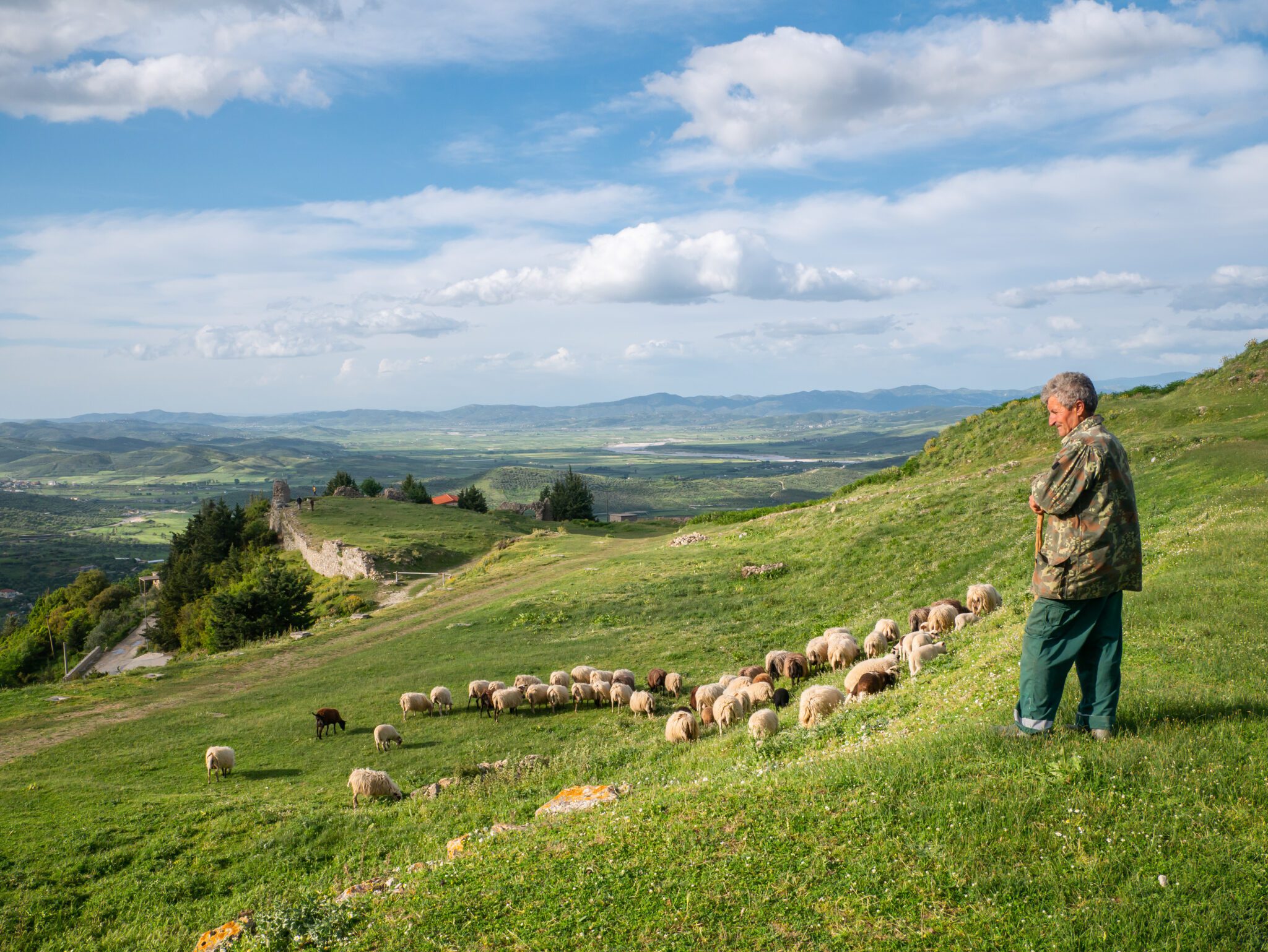 Albania Vlora zamek w Kanine pasterz owce