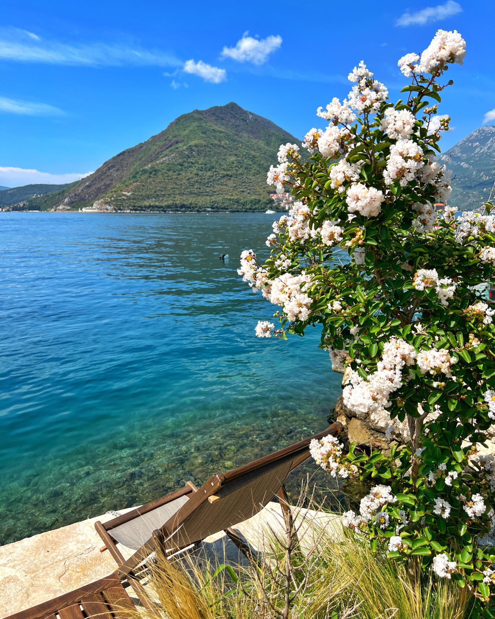 Zatoka Kotorska kwiaty góra woda