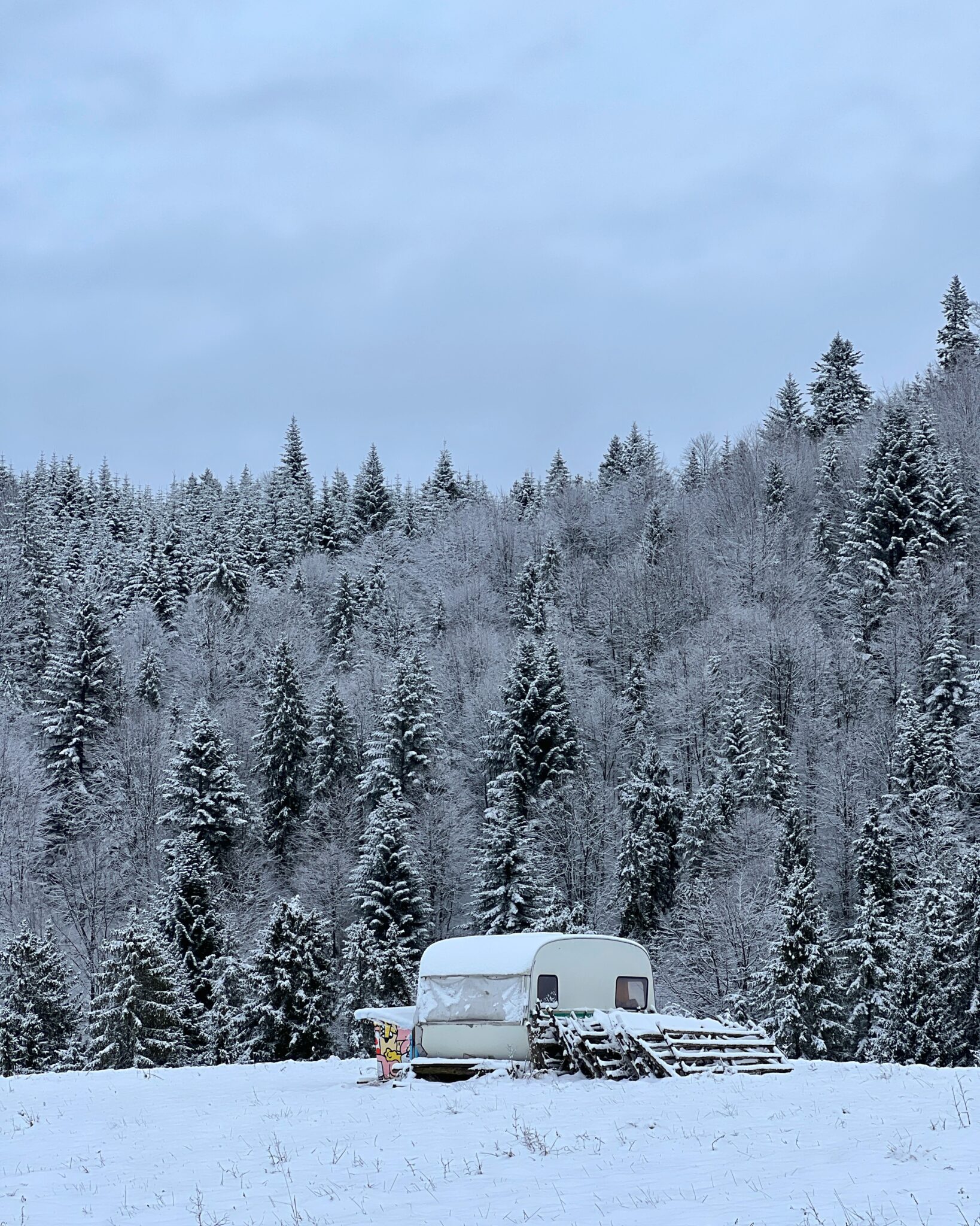 Pieniny śnieg drzewa przyczepa