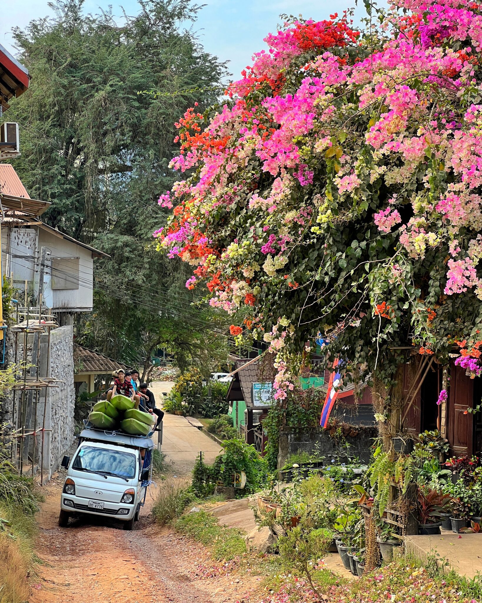 Laos Vang Vieng droga kwiaty auto z kajakami