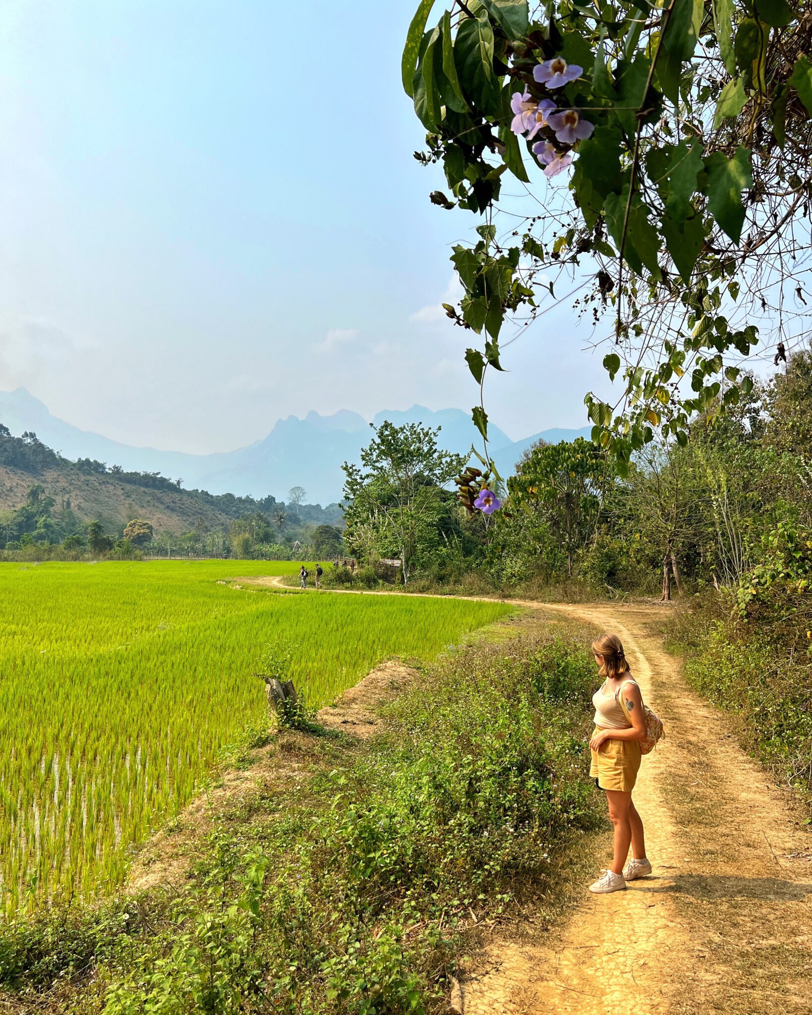 Laos Nong Khiaw pole ryżowe góry droga dziewczyna