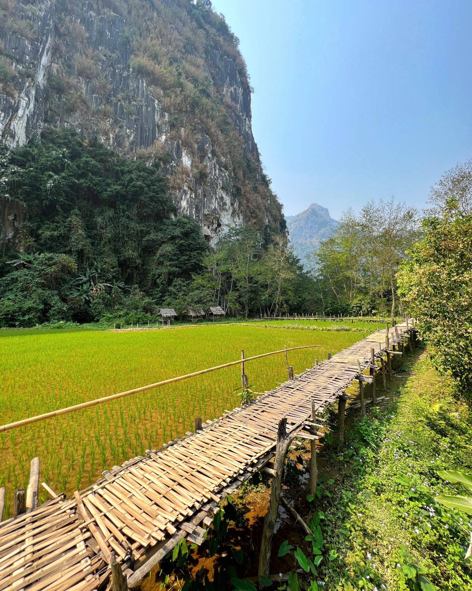 Laos Nong Khiaw most pola ryżowe góry