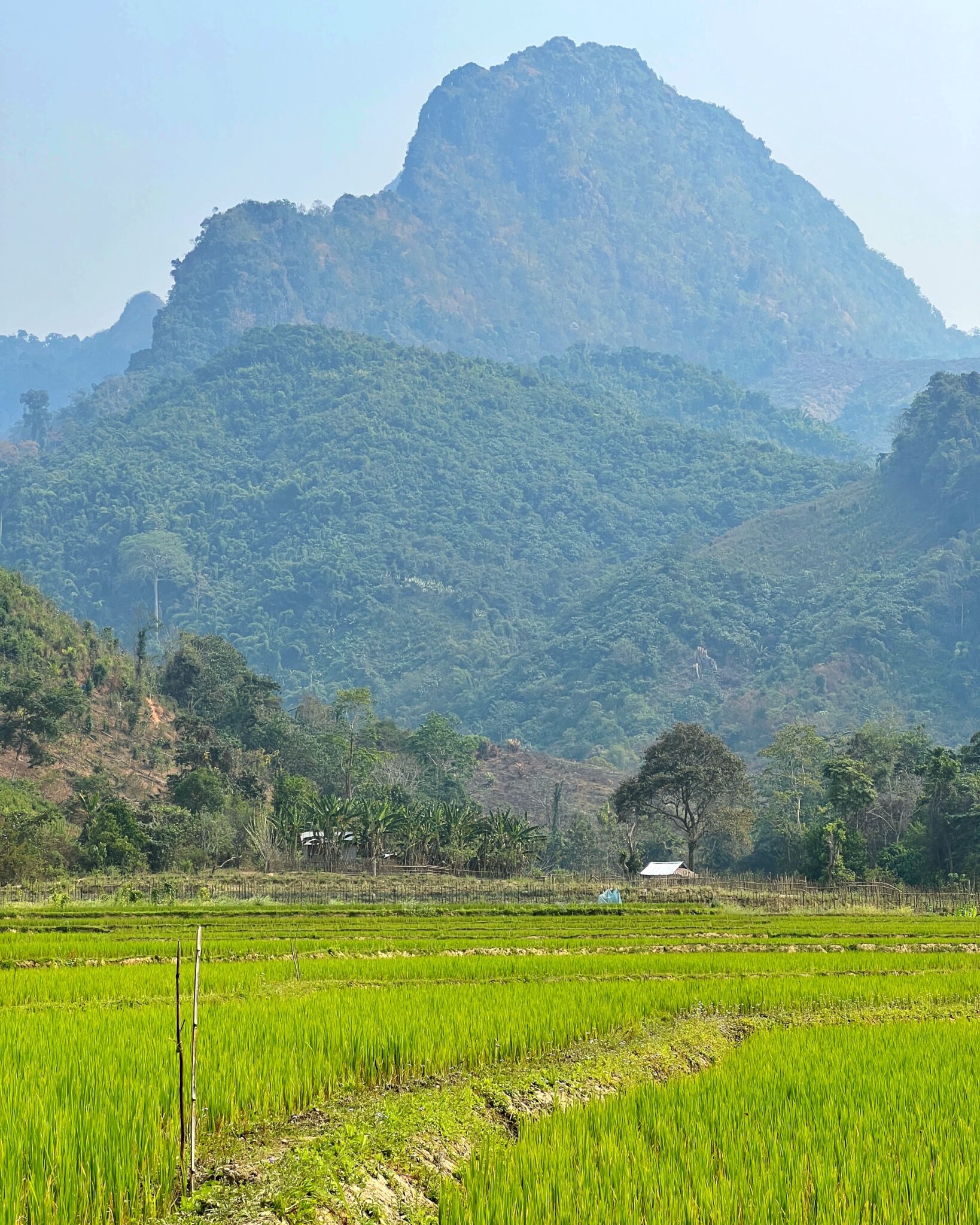 Laos Nong Khiaw pole ryżowe góry