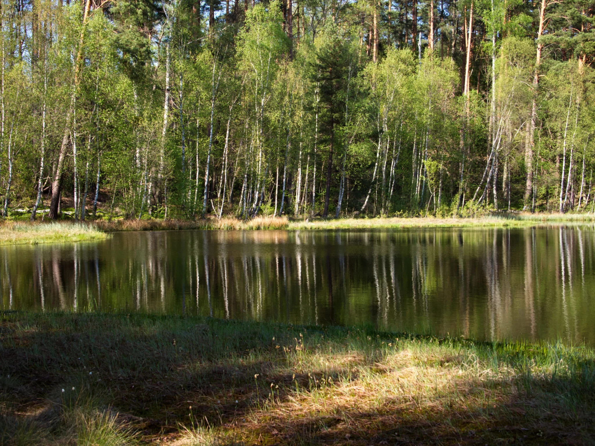 Mazurski Park Krajobrazowy