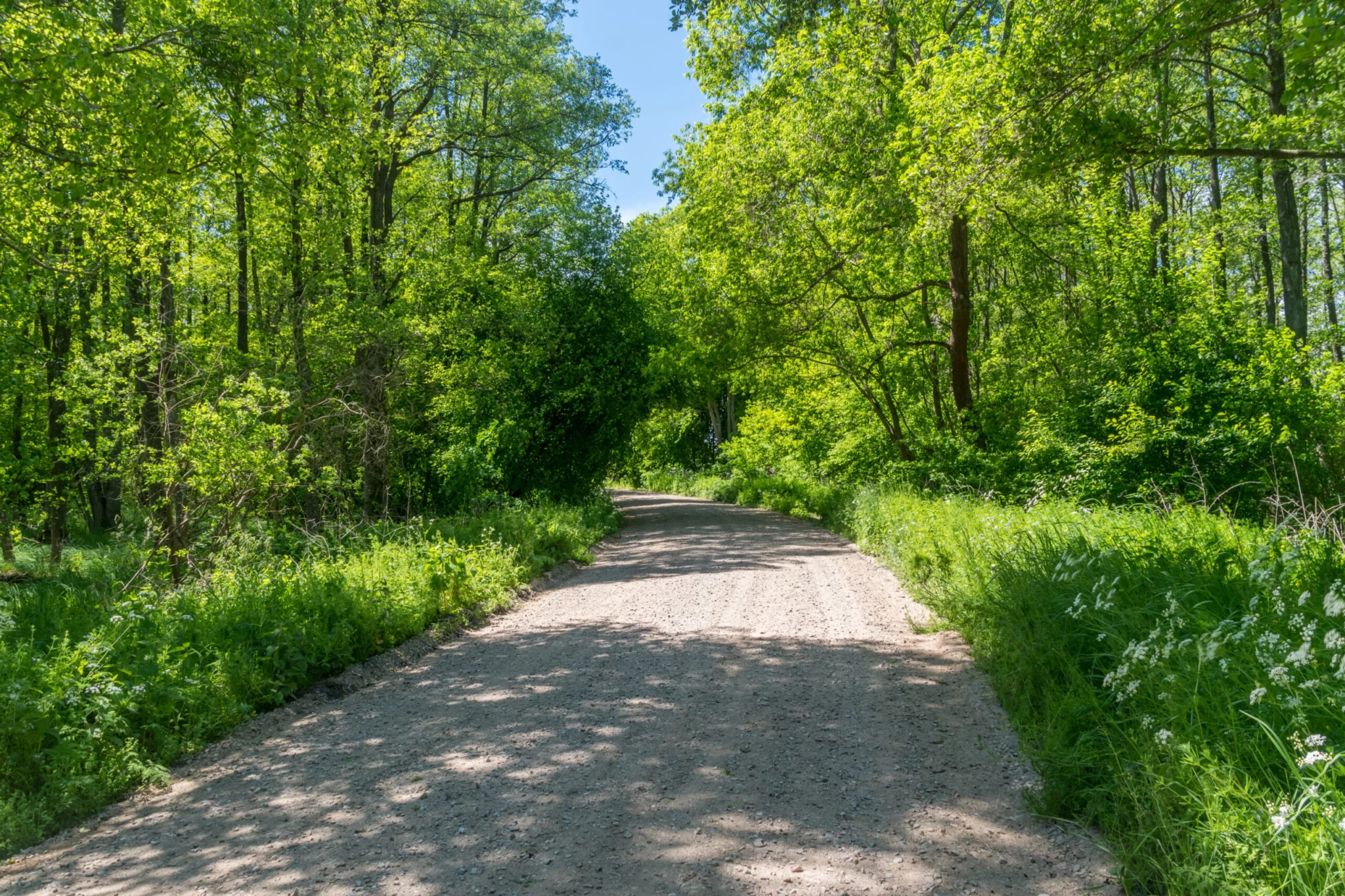 Mazurski Park Krajobrazowy