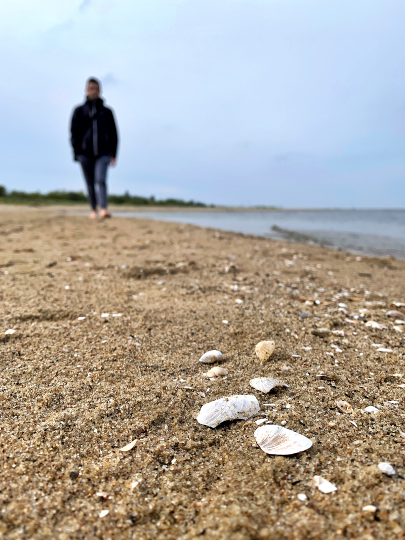 Gdańsk plaża chłopak muszle