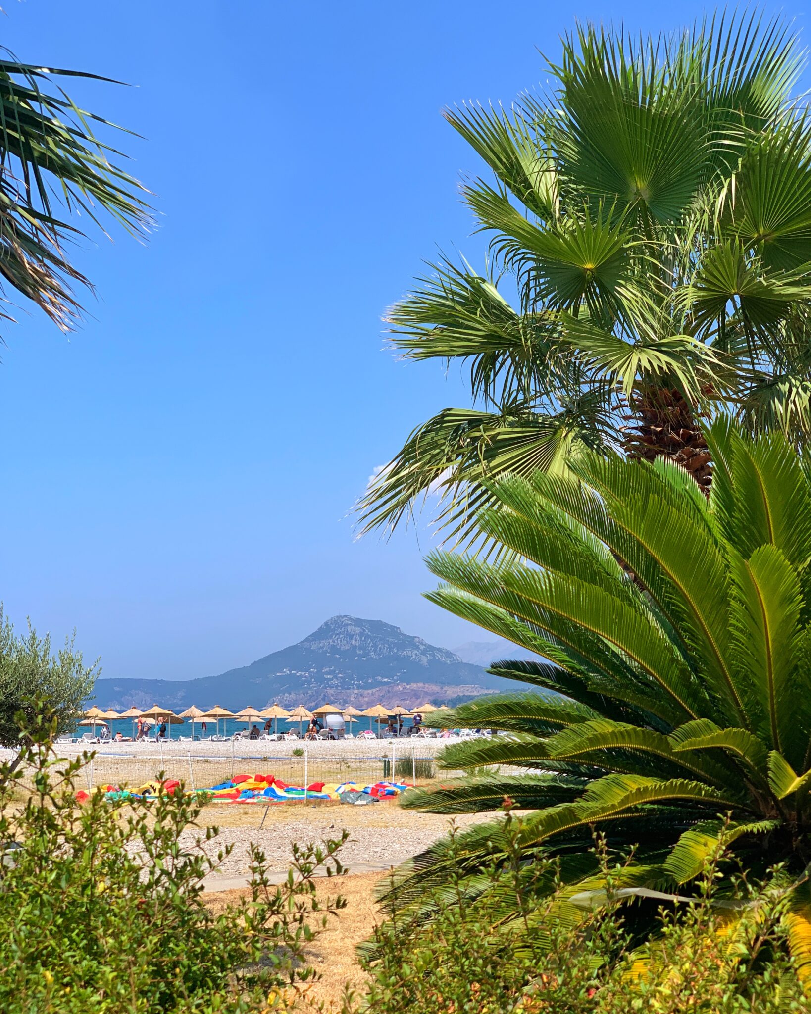 Czarnogóra Bar plaża widok palmy