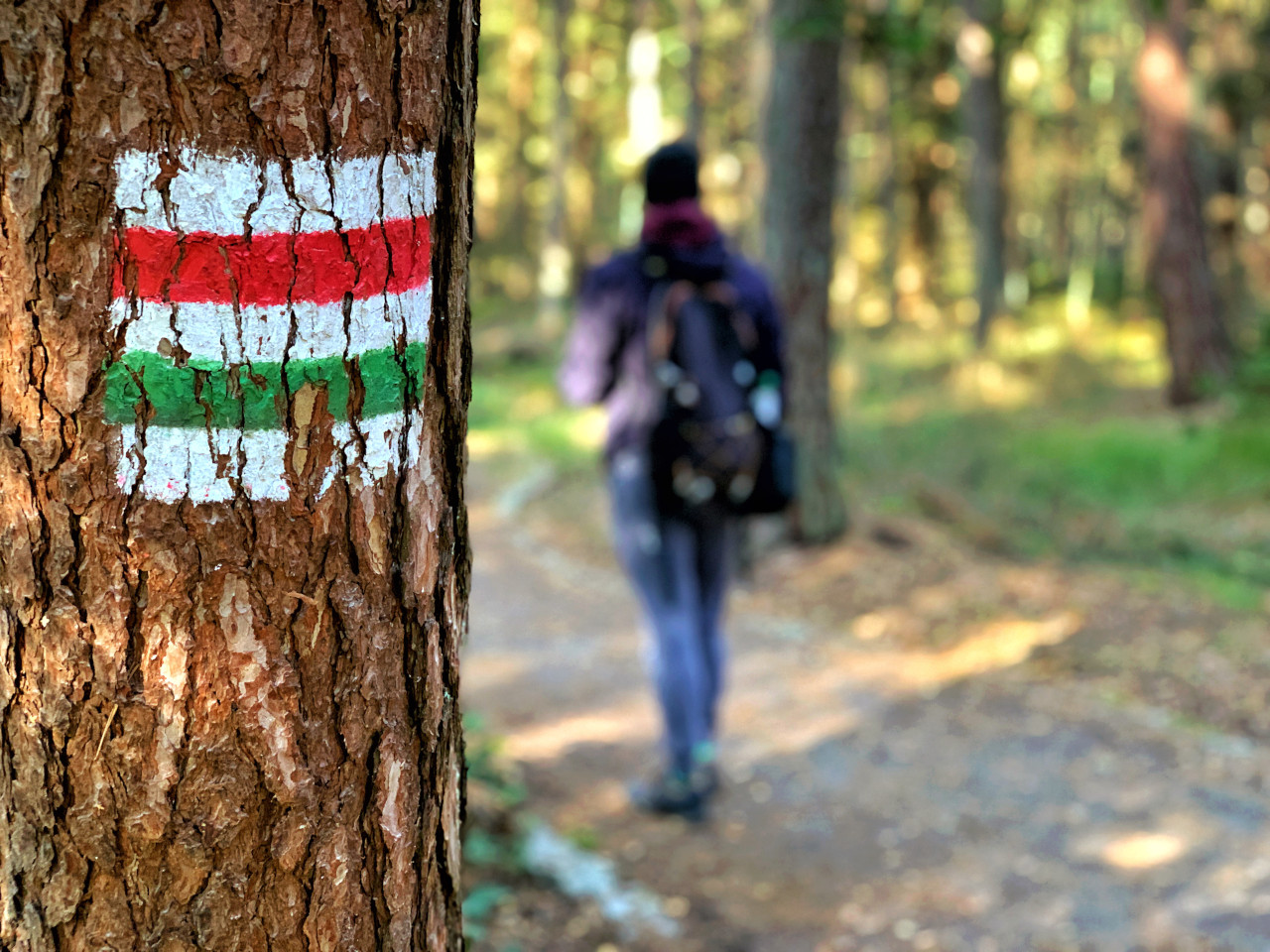 Słowiński Park Narodowy szlak oznaczenie chłopak