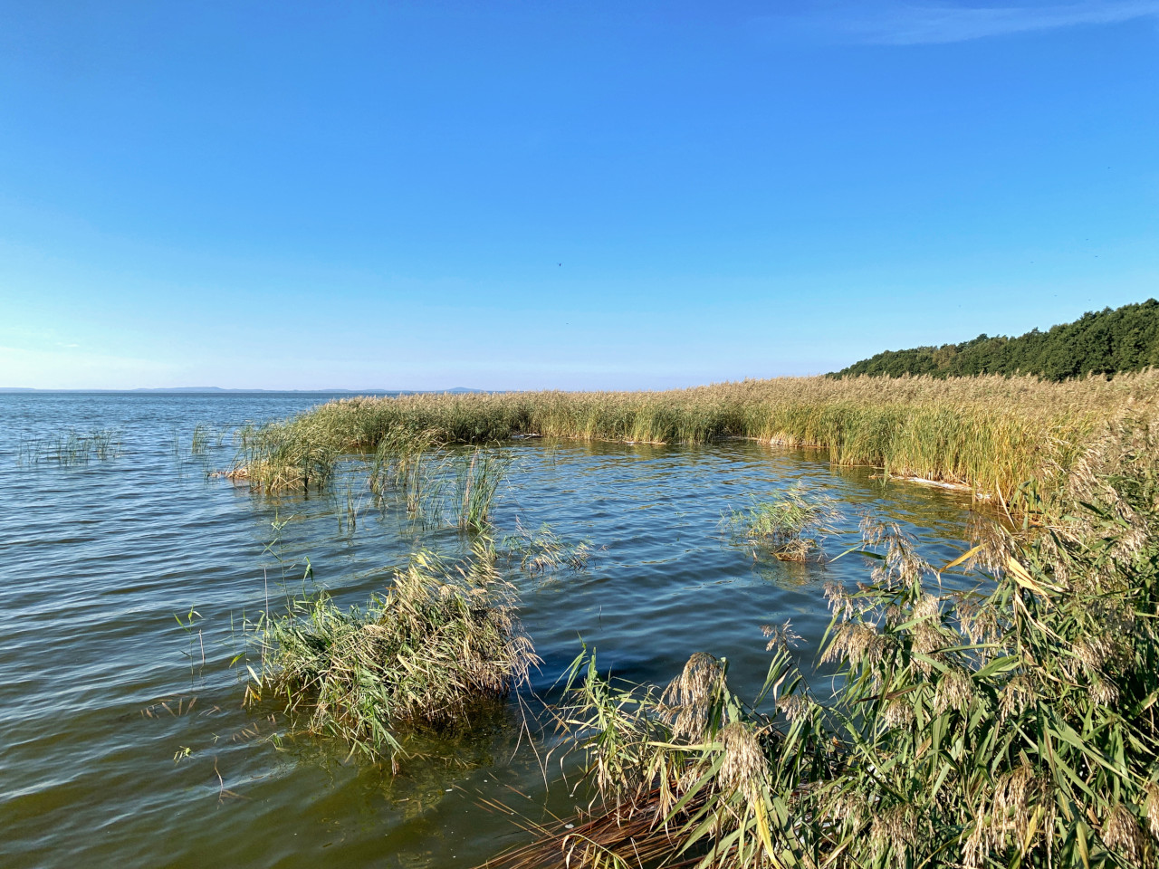 Słowiński Park Narodowy jezioro