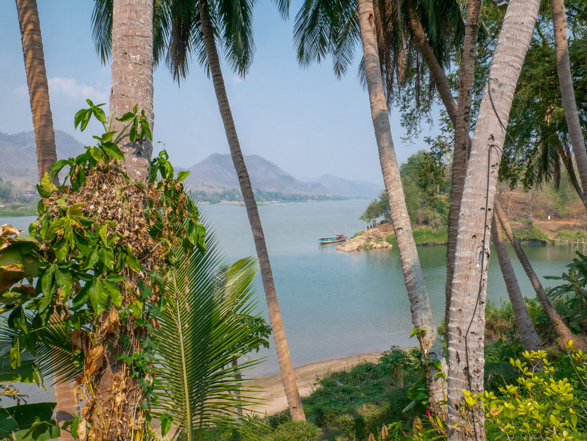 Laos Luang Prabang palmy rzeka góry