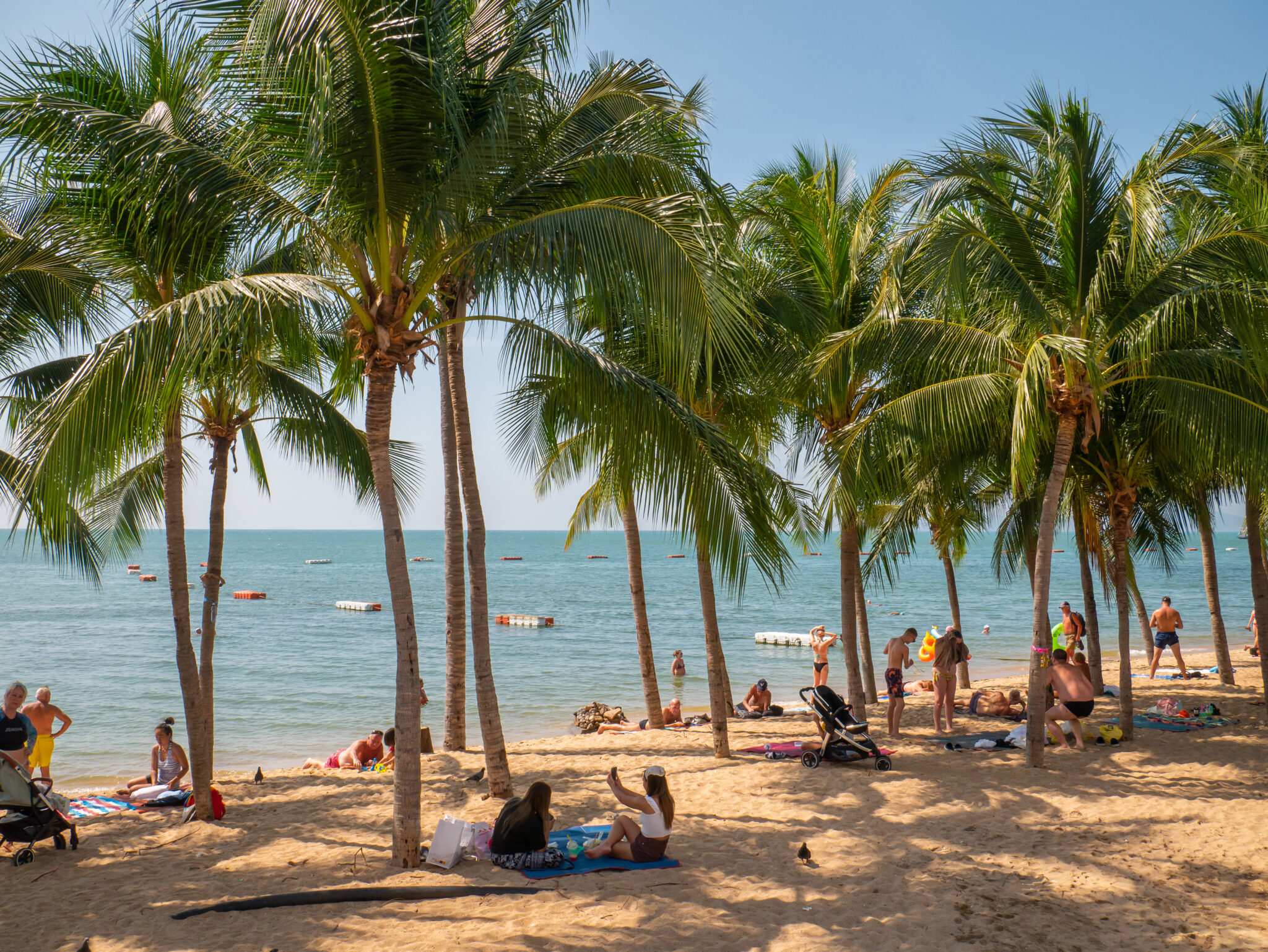 Tajlandia Pattaya plaża Jomtien palmy