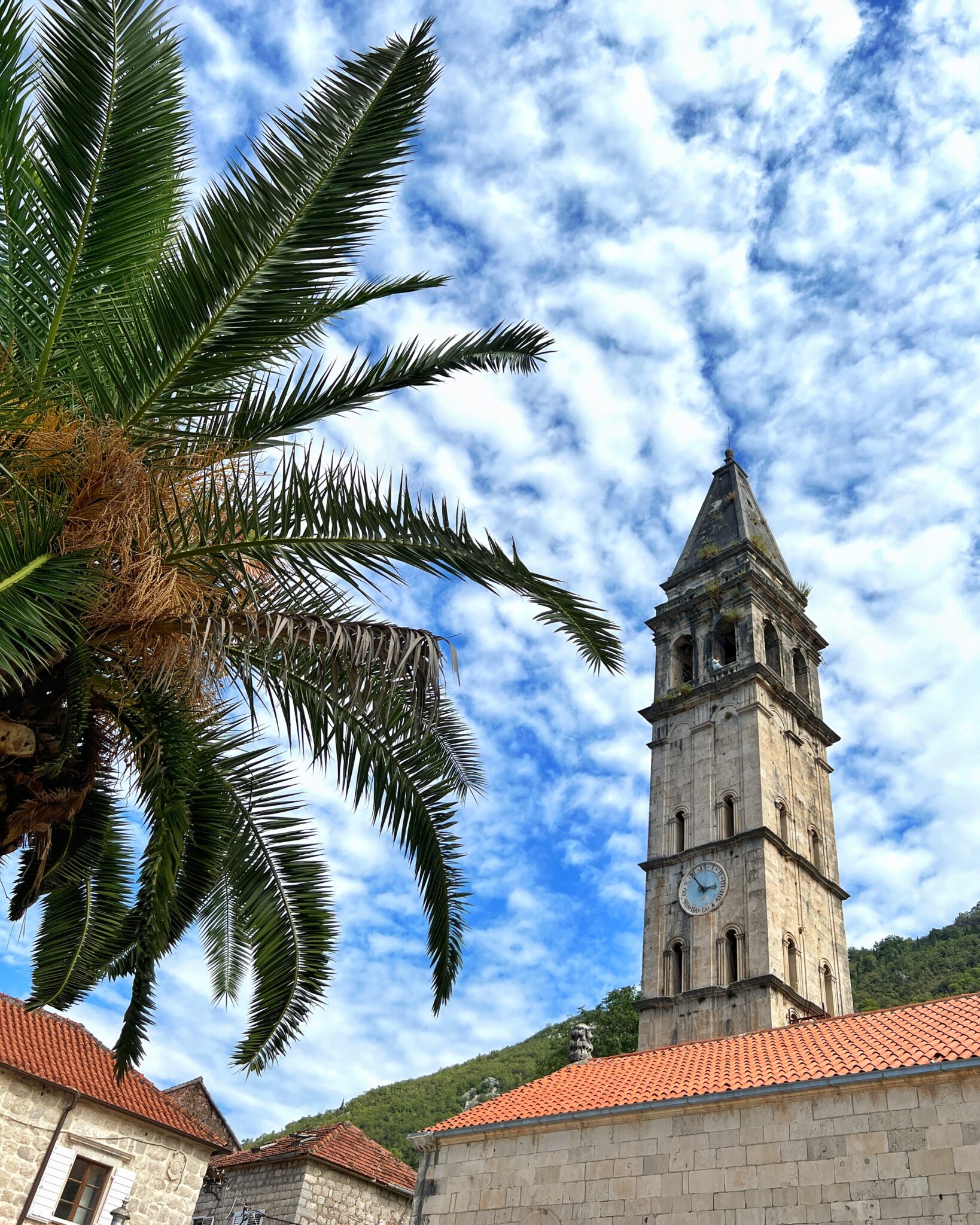 Czarnogóra Zatoka Kotorska Perast palma wieża kościoła