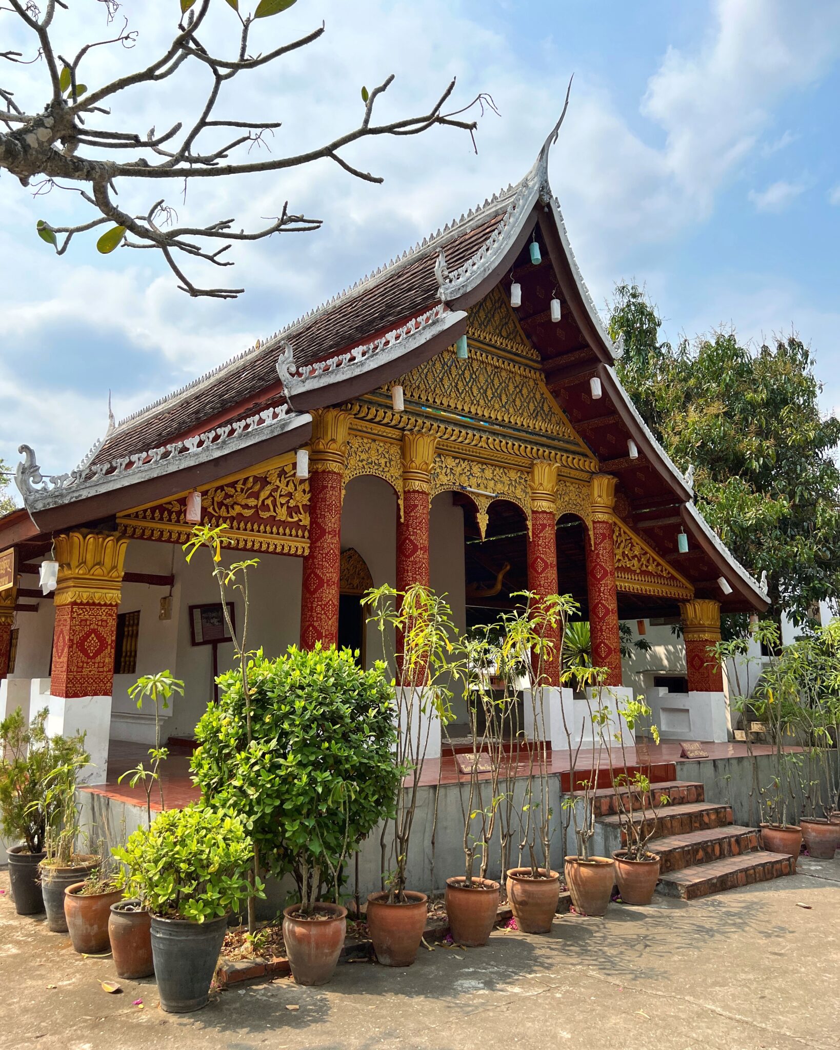 Laos Luang Prabang świątynia rośliny