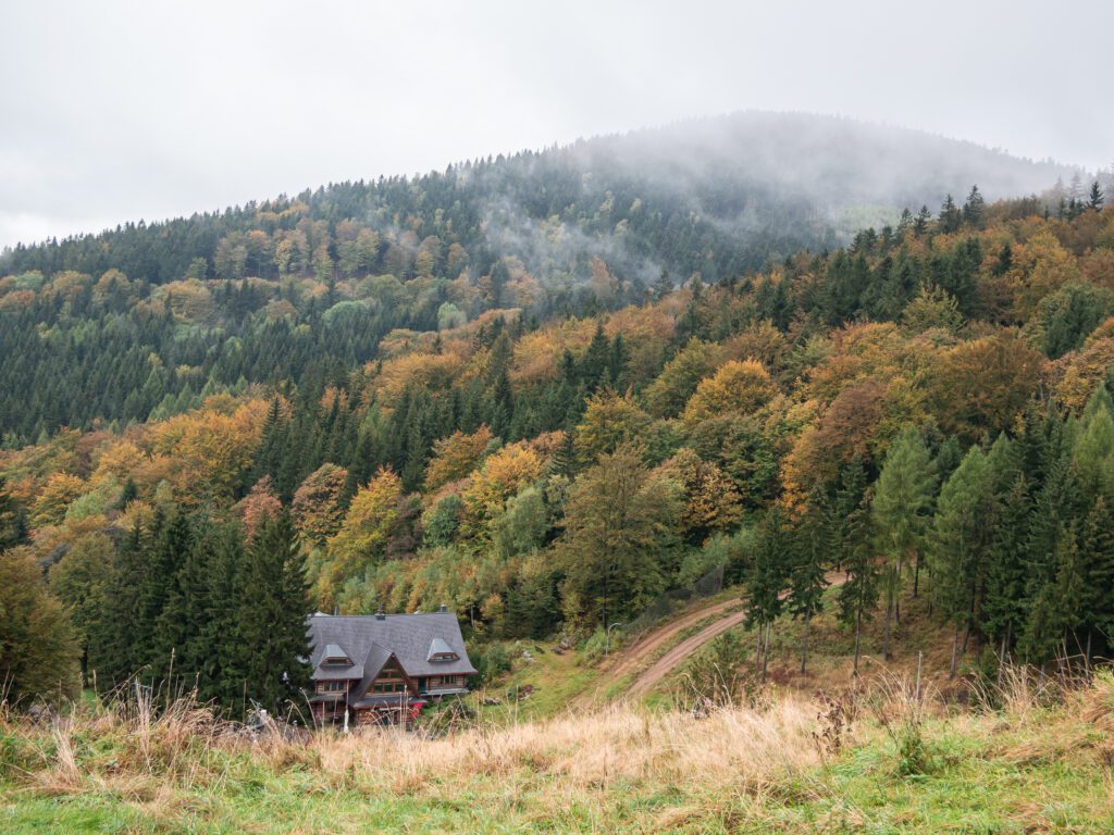 Dolny Śląsk Góry Sowie las chata