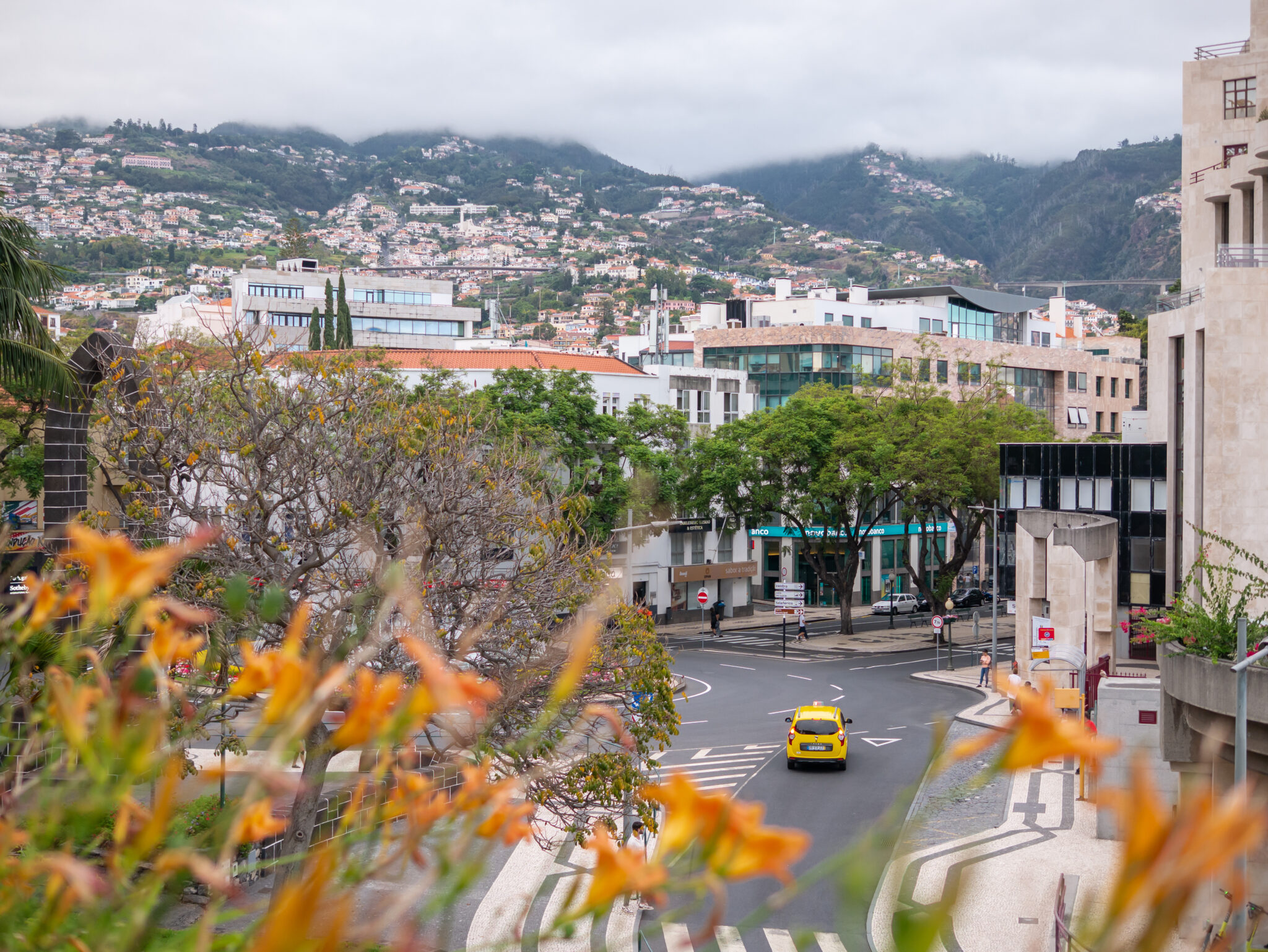 Madera Funchal panorama taxi kwiaty