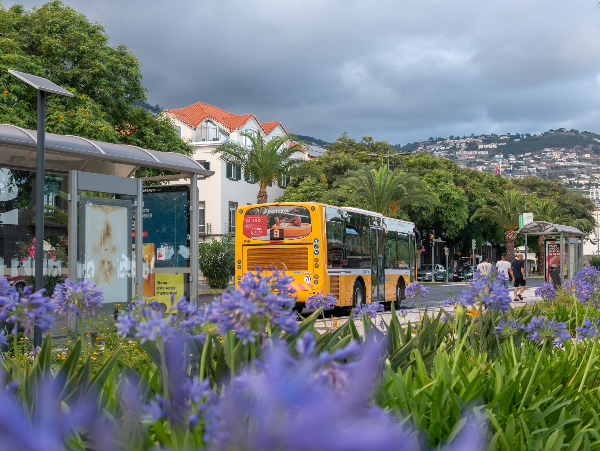 Madera Funchal autobus