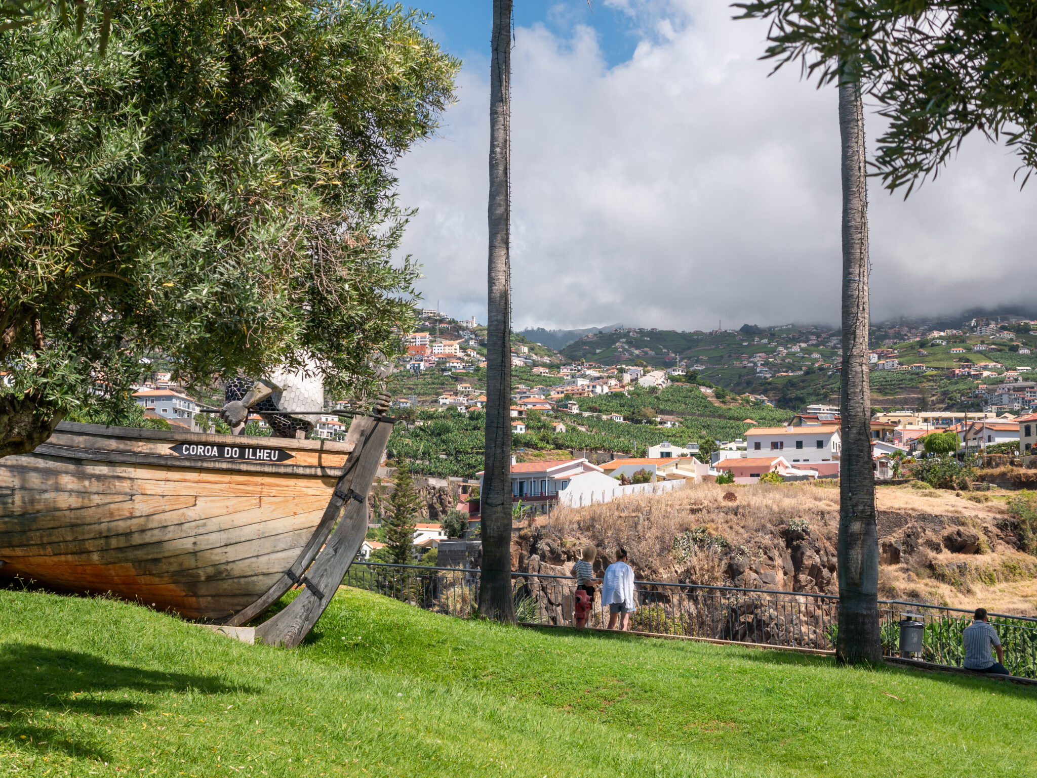 Madera Camara de Lobos łódka palmy panorama