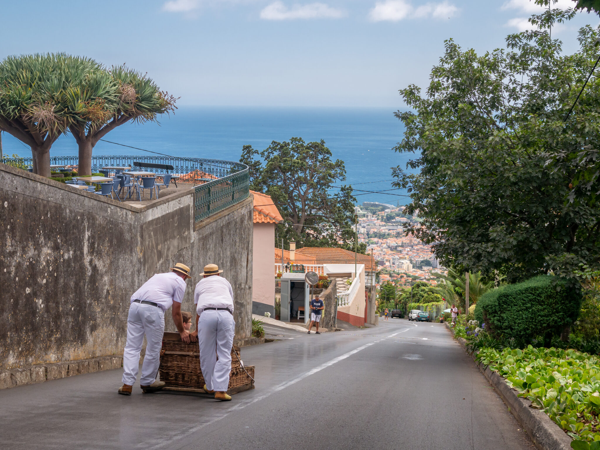 Madera Funchal sanie