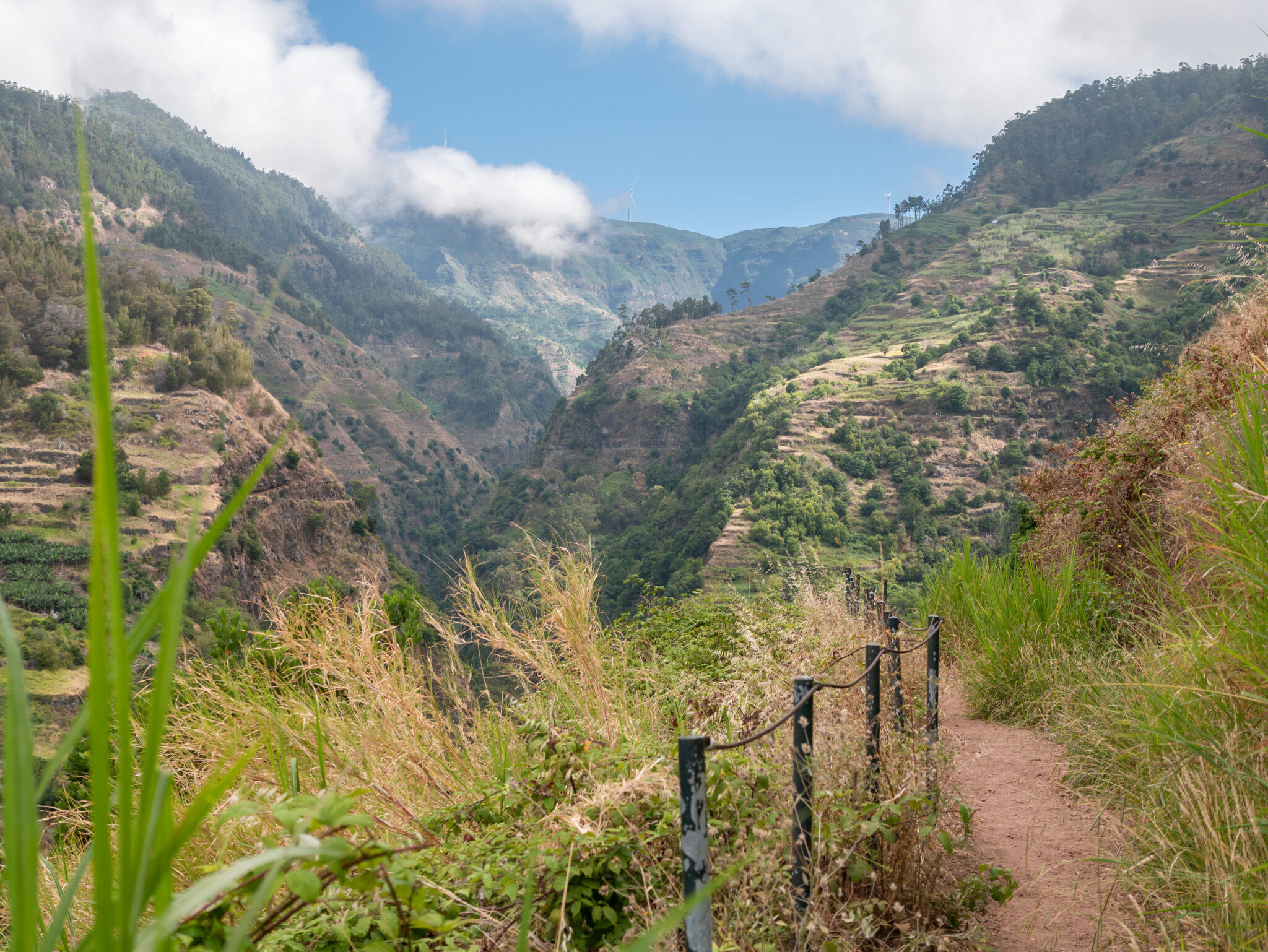 Funchal levada kanion