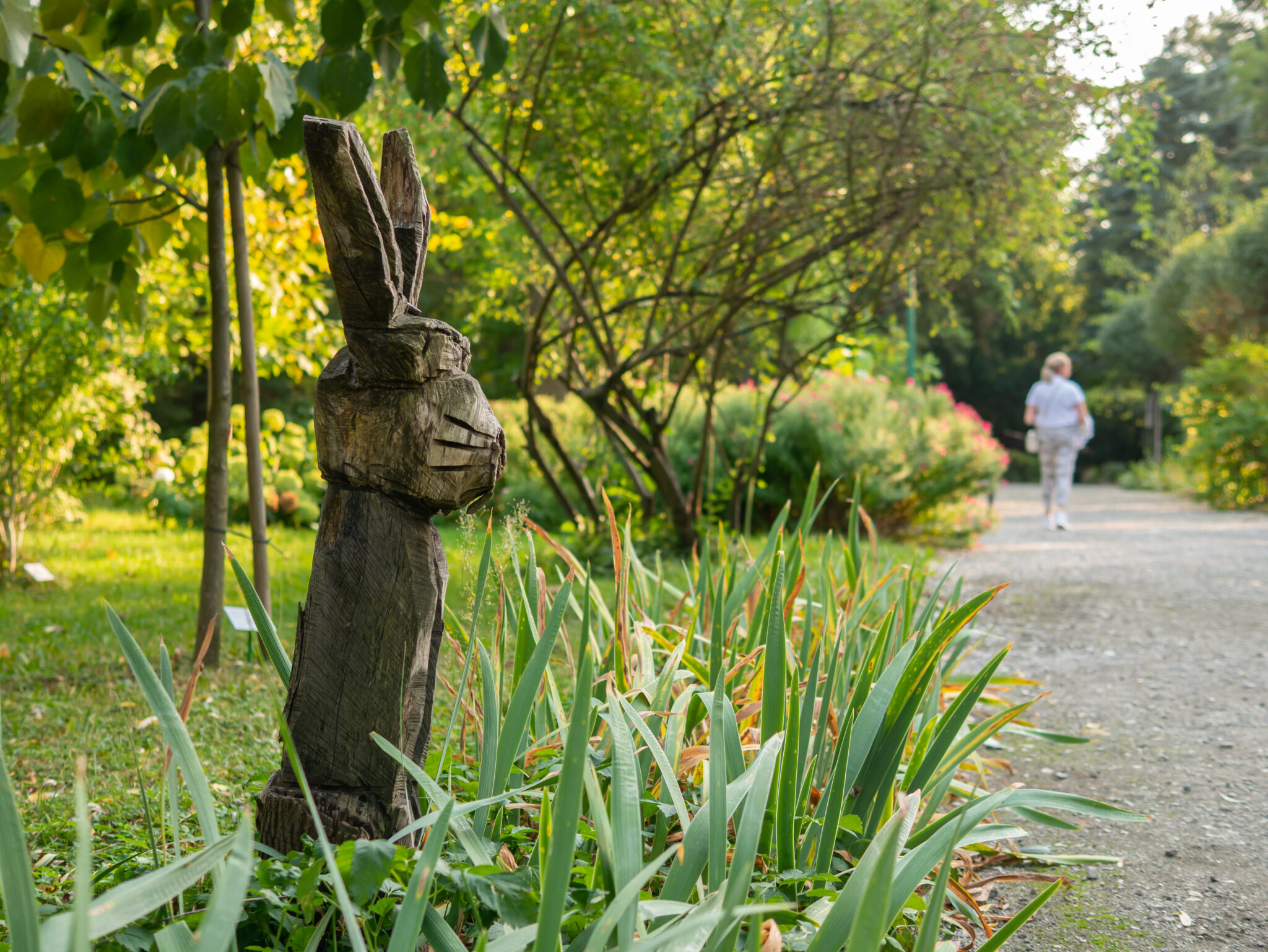 Bydgoszcz Ogród Botaniczny zając z drewna