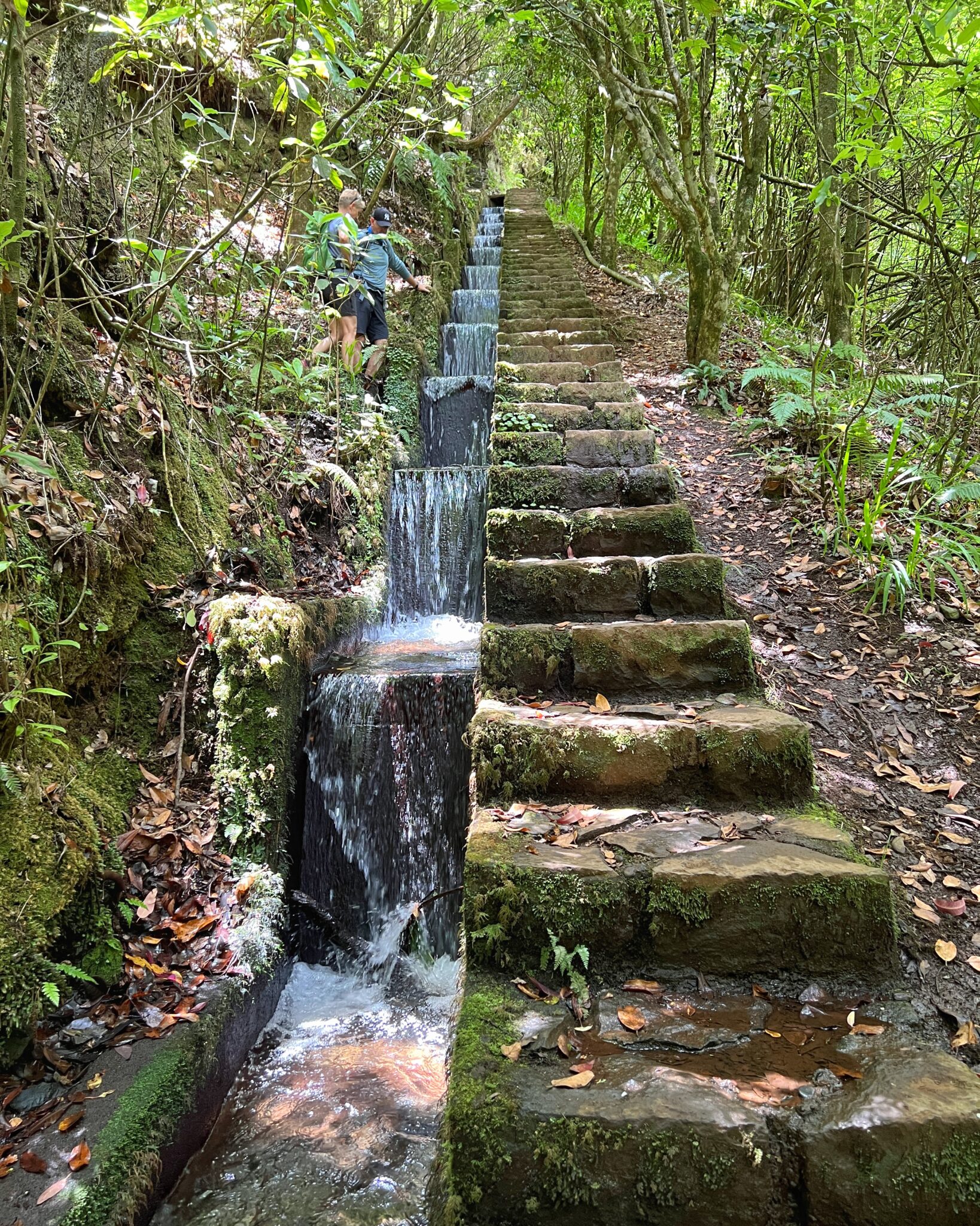 Madera levada schody wodospad