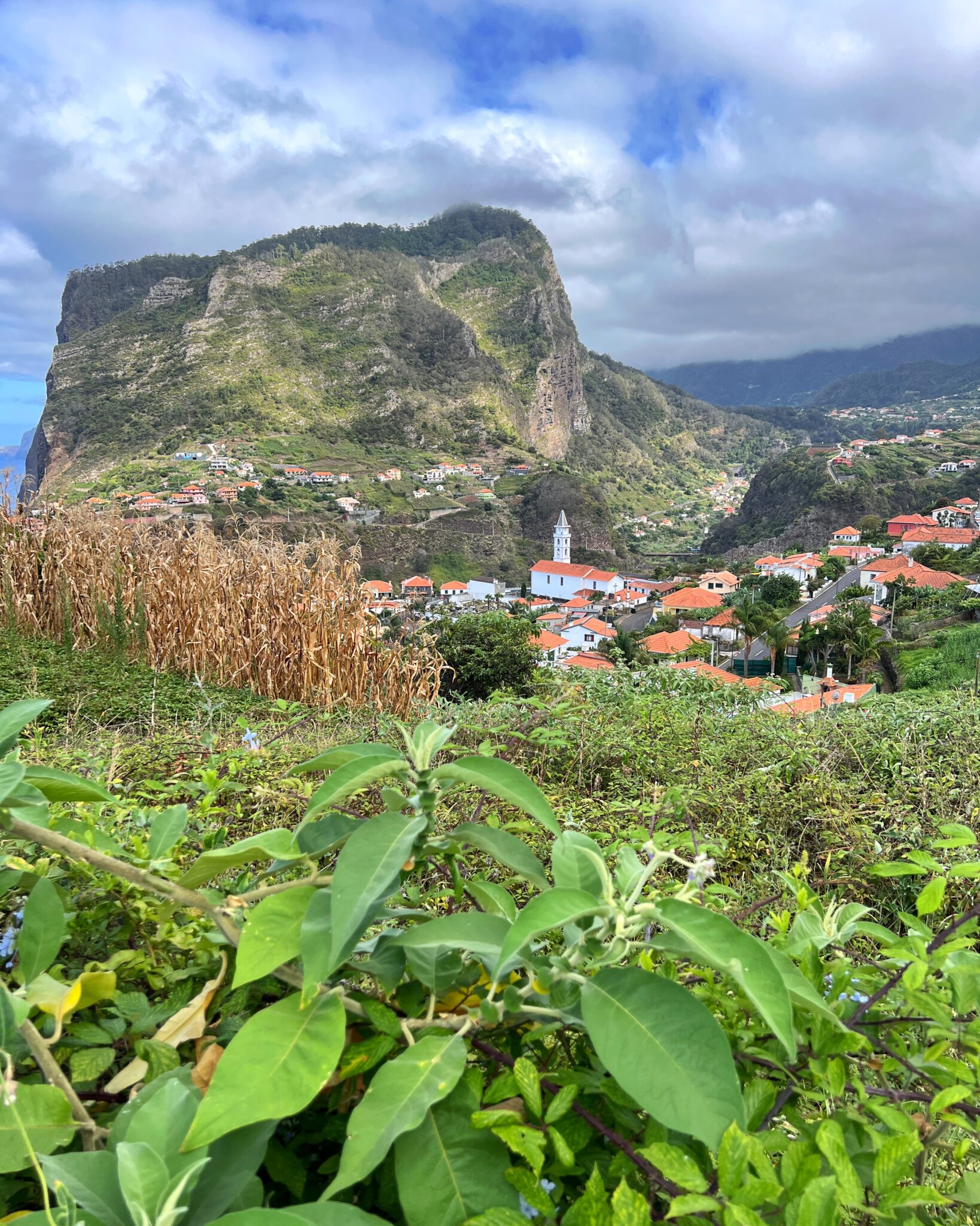 Madera Faial krajobraz góra